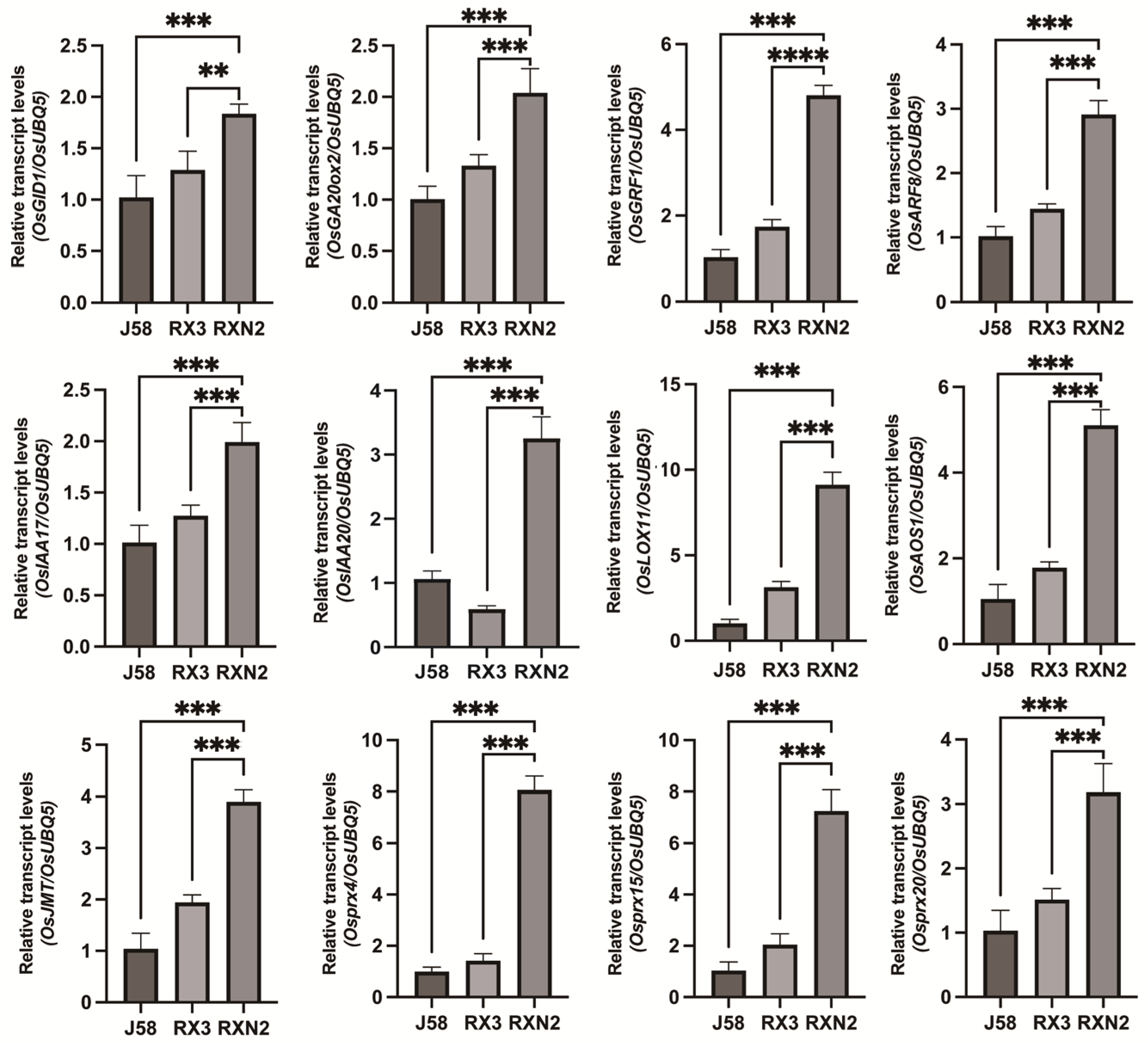 Plants 14 02921 g003 Plants 14 02921 g003