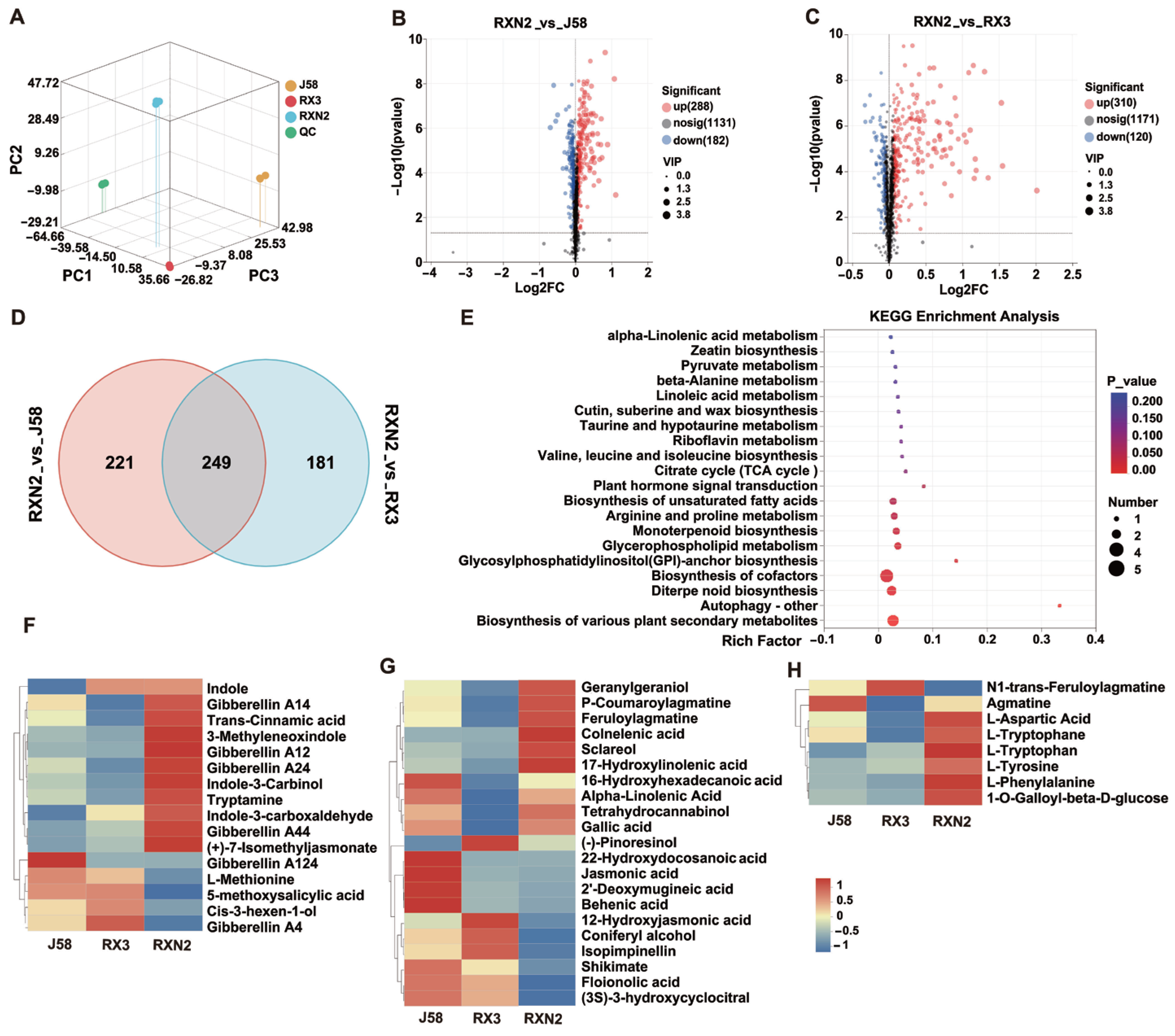 Plants 14 02921 g004 Plants 14 02921 g004