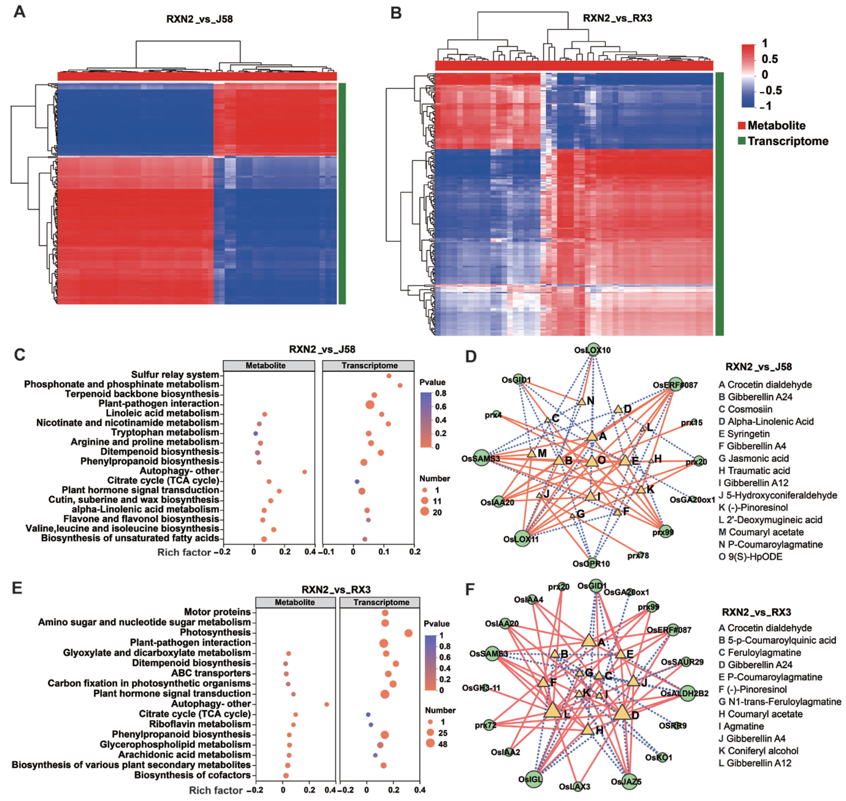Plants 14 02921 g005 Plants 14 02921 g005