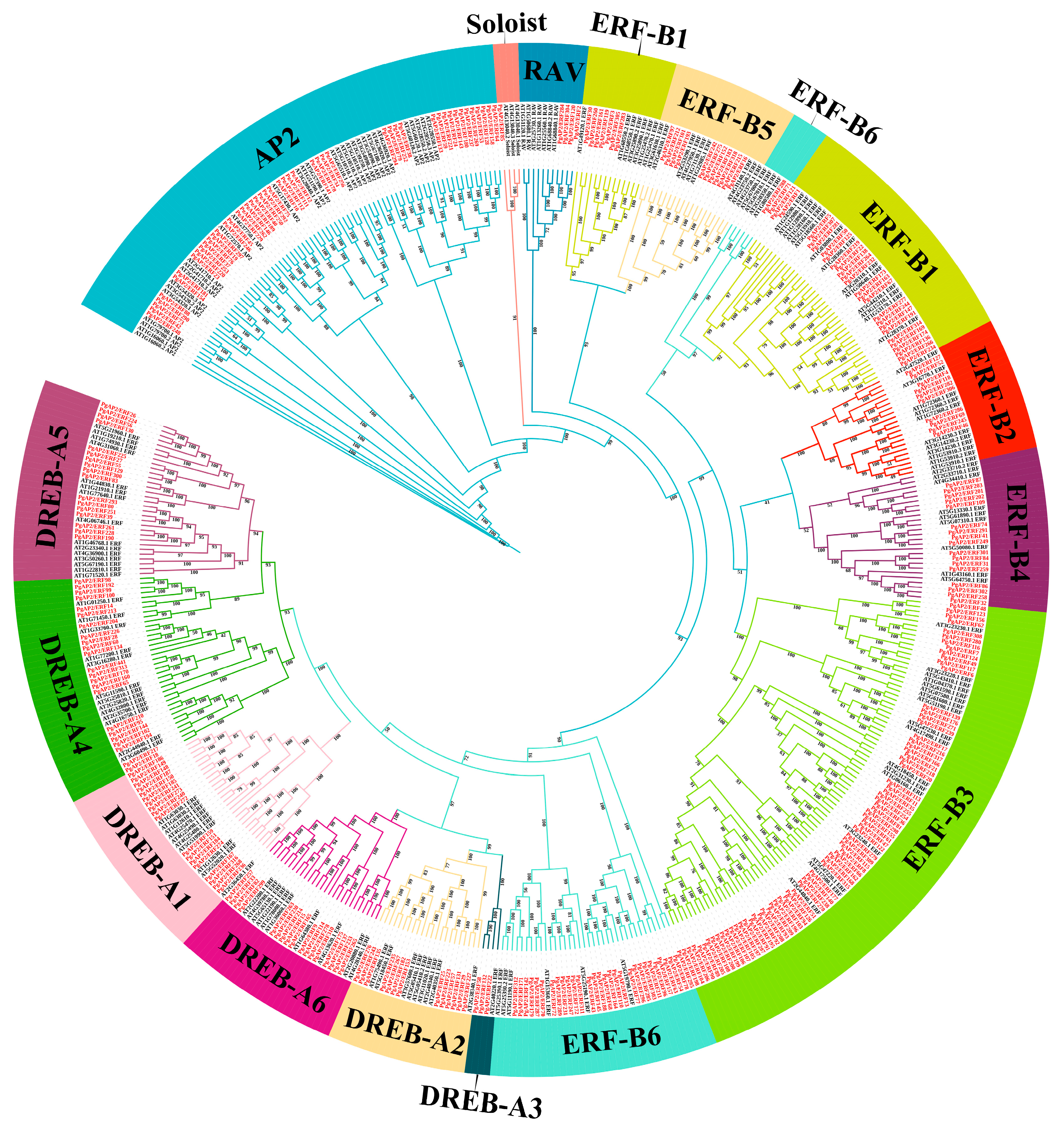 Plants 14 02922 g001
