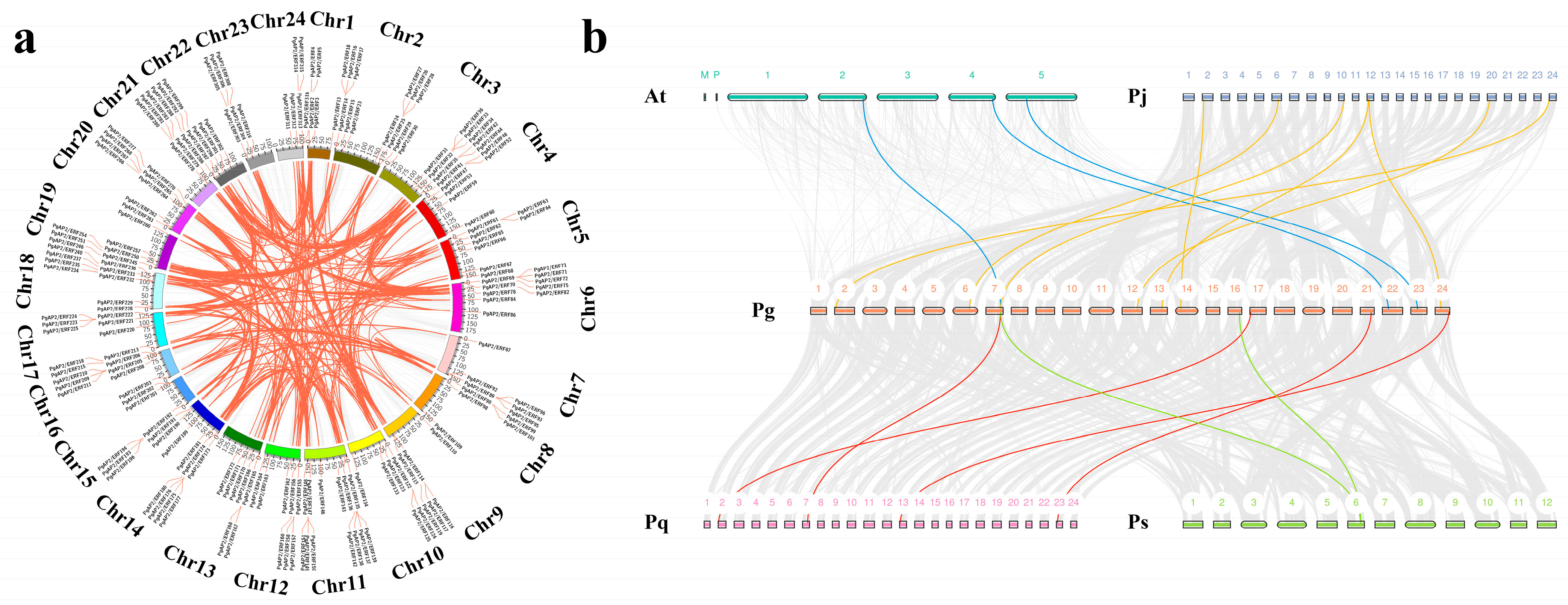 Plants 14 02922 g002