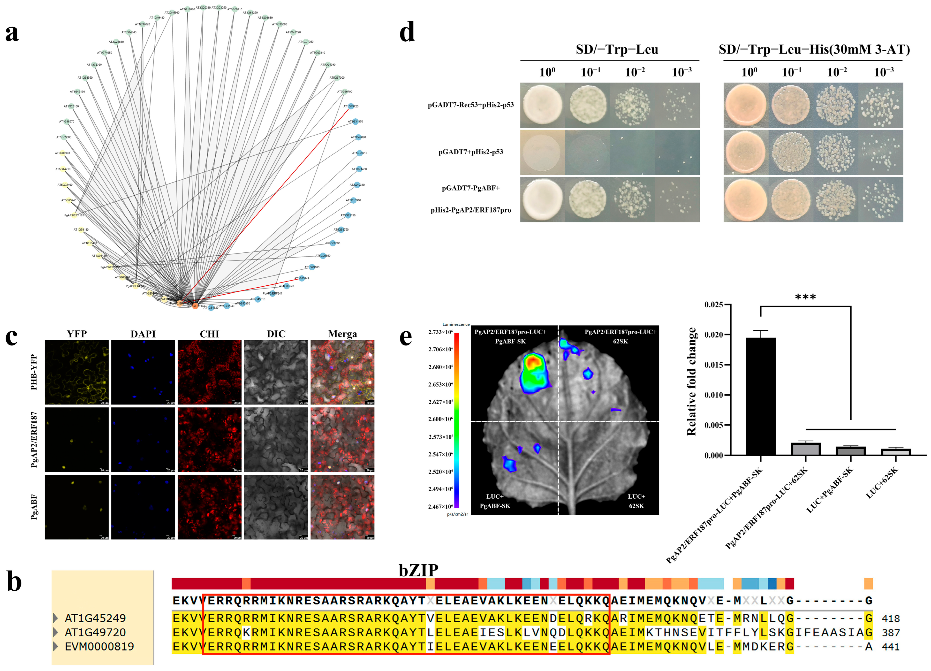 Plants 14 02922 g006