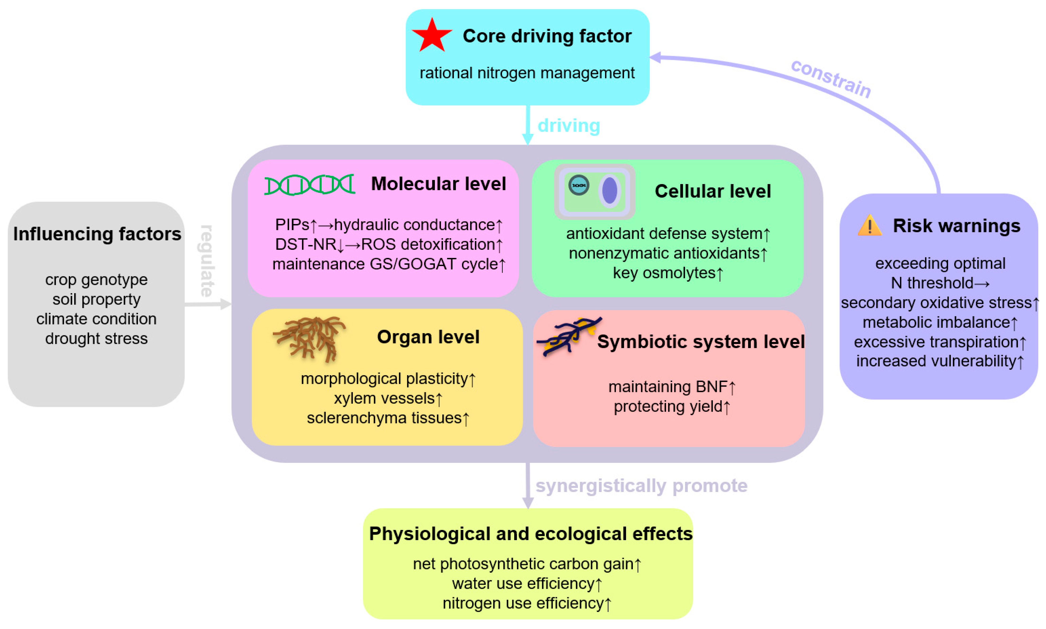 Plants 14 02928 g001 Plants 14 02928 g001