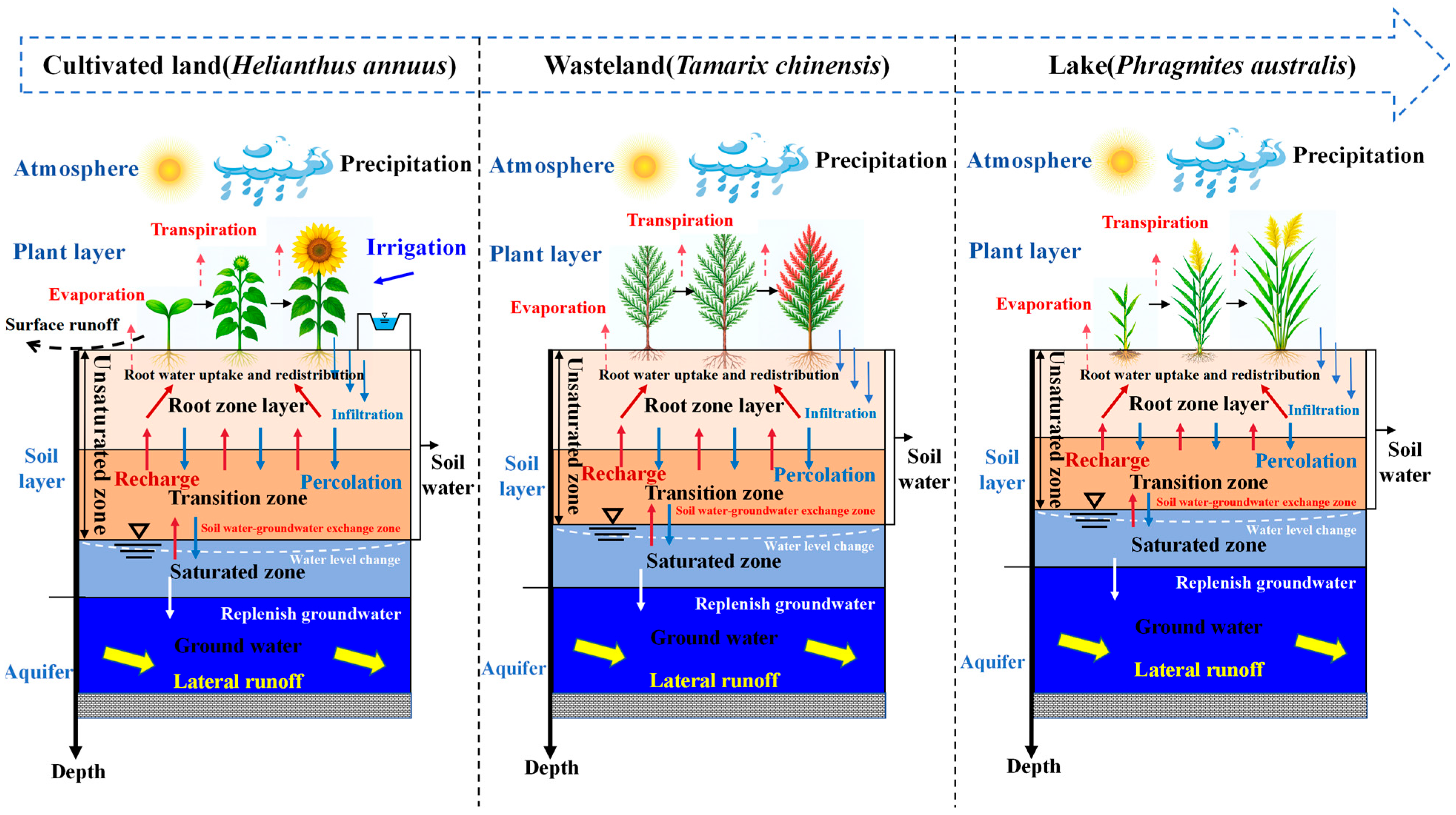 Plants 14 02933 g002
