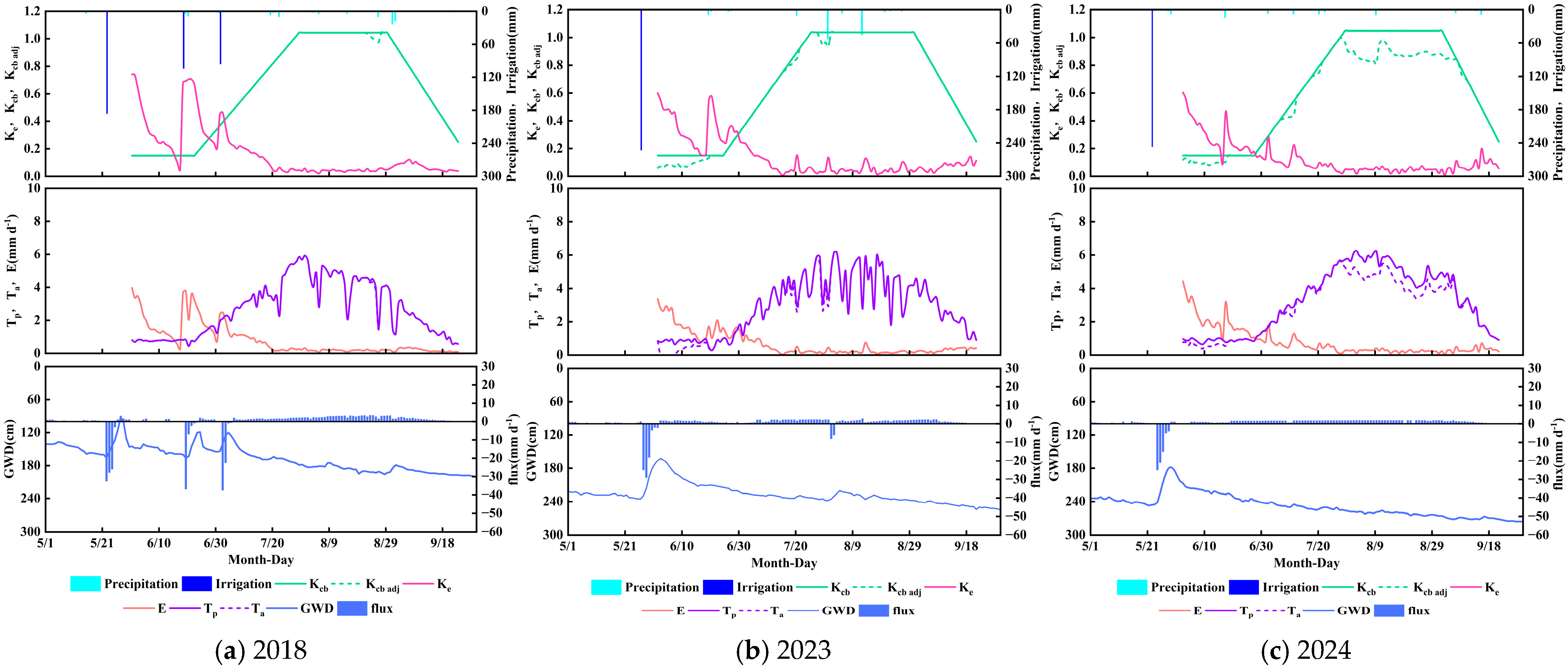 Plants 14 02933 g007