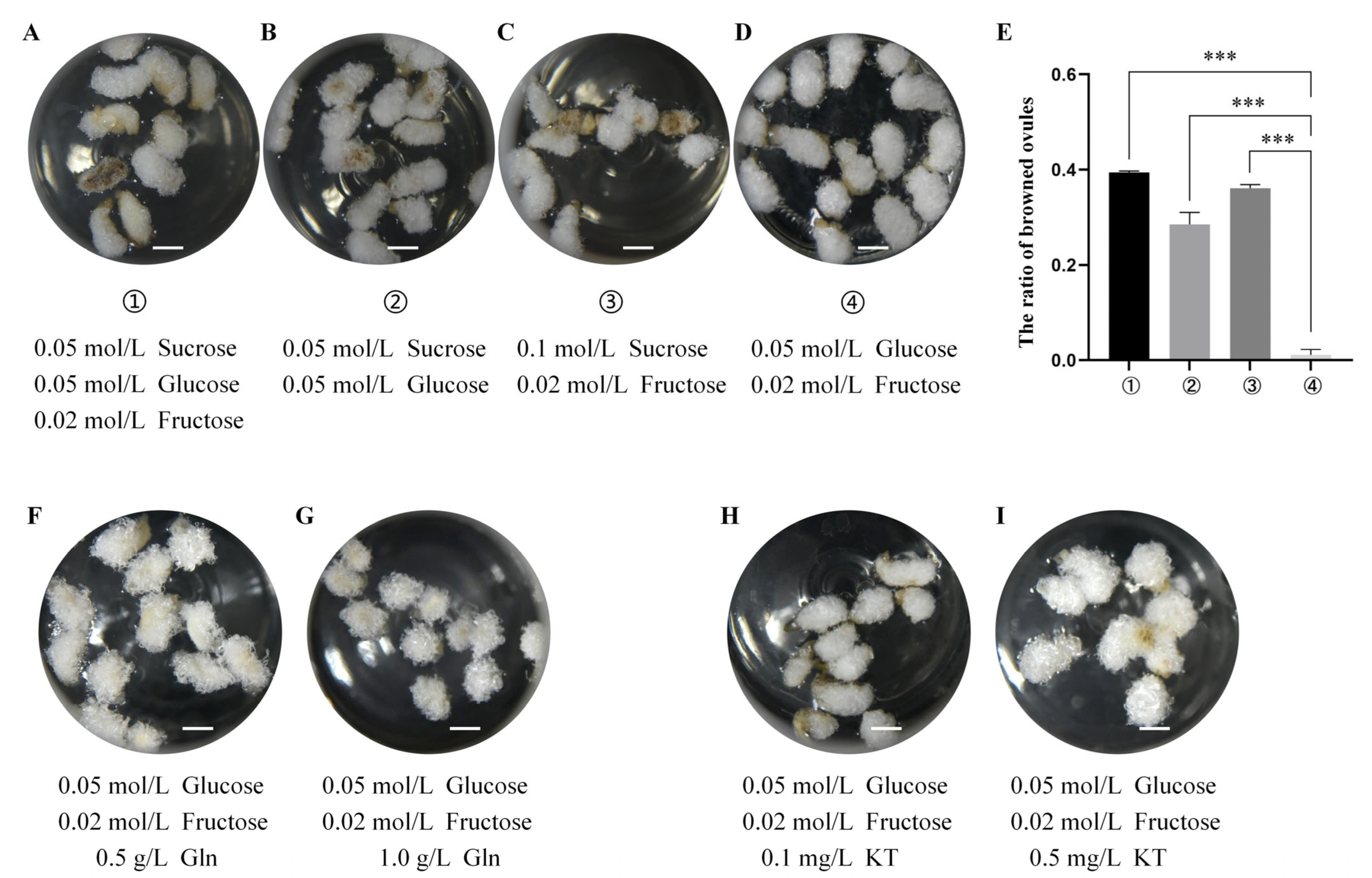 Plants 14 02936 g001 Plants 14 02936 g001
