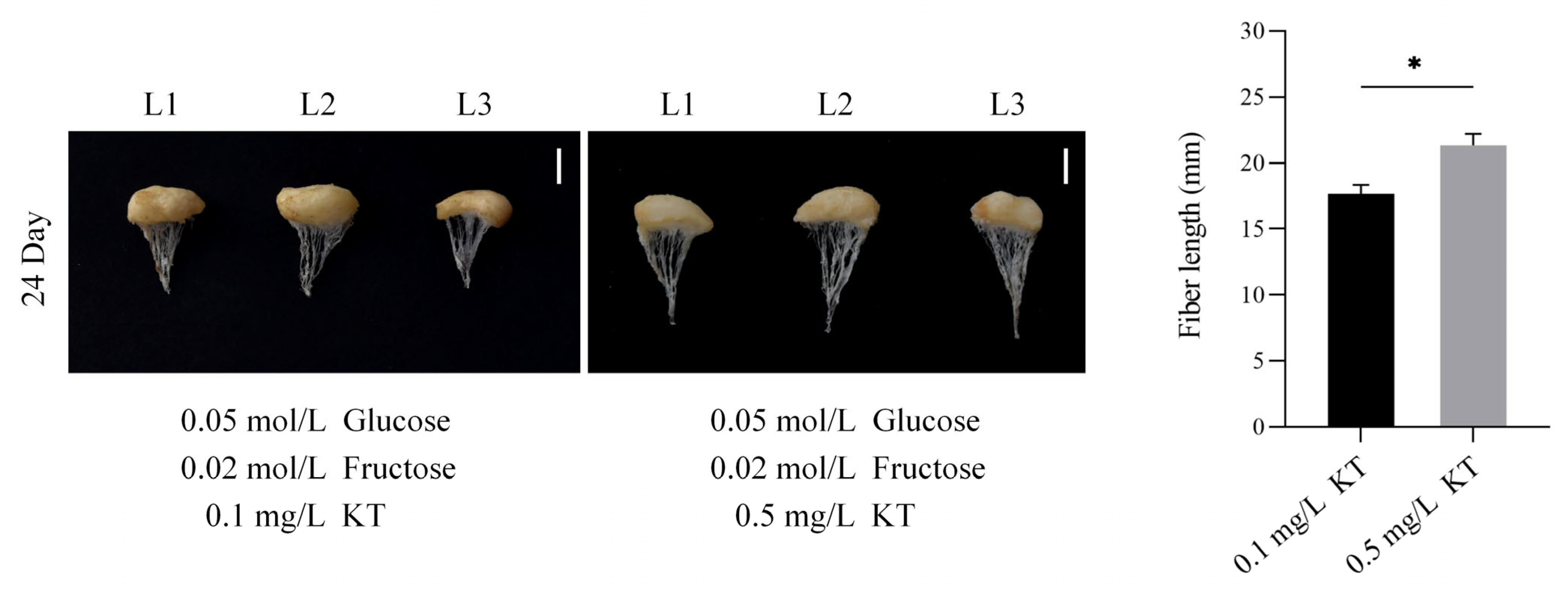 Plants 14 02936 g002 Plants 14 02936 g002