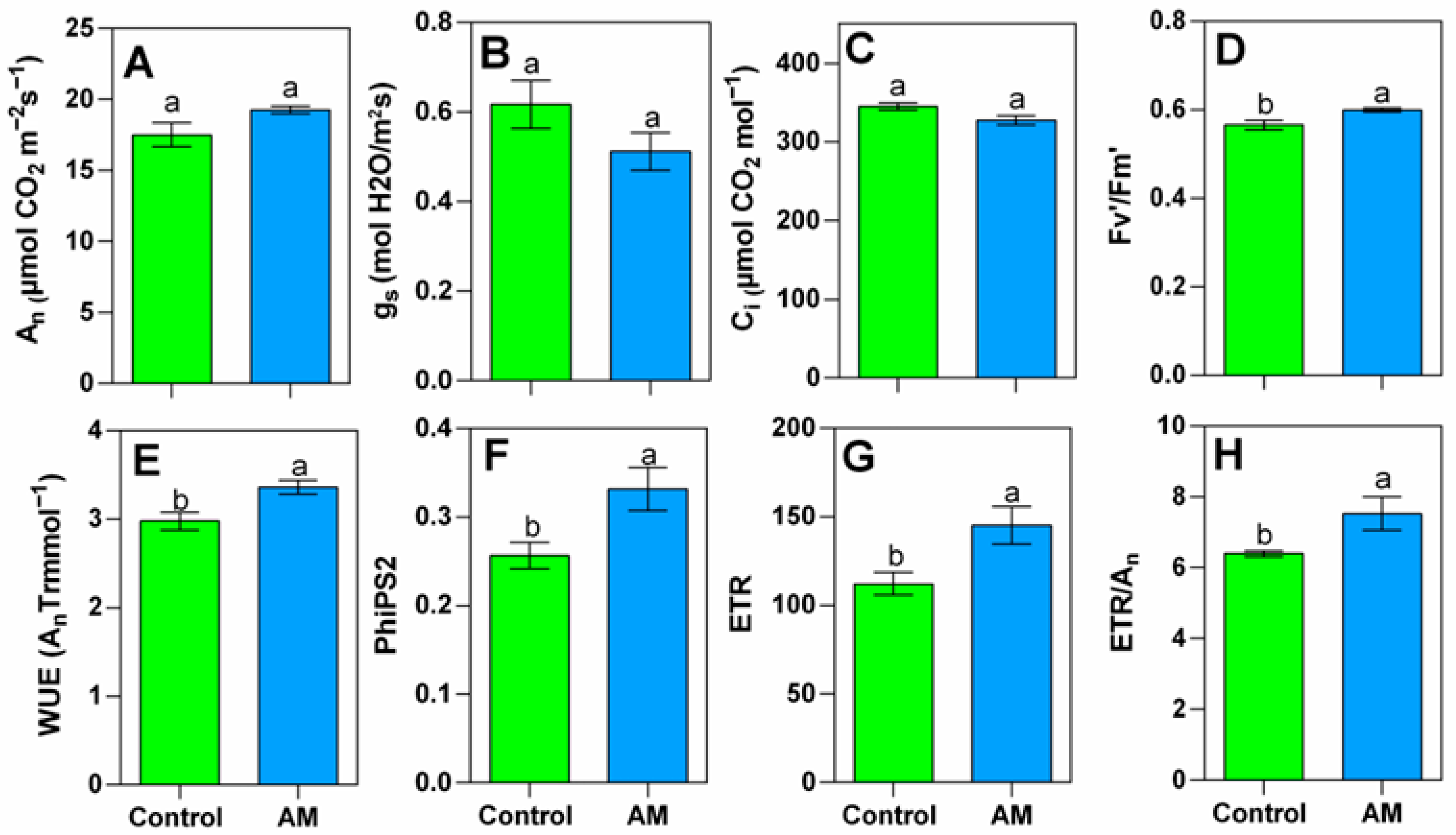 Plants 14 02937 g001 Plants 14 02937 g001