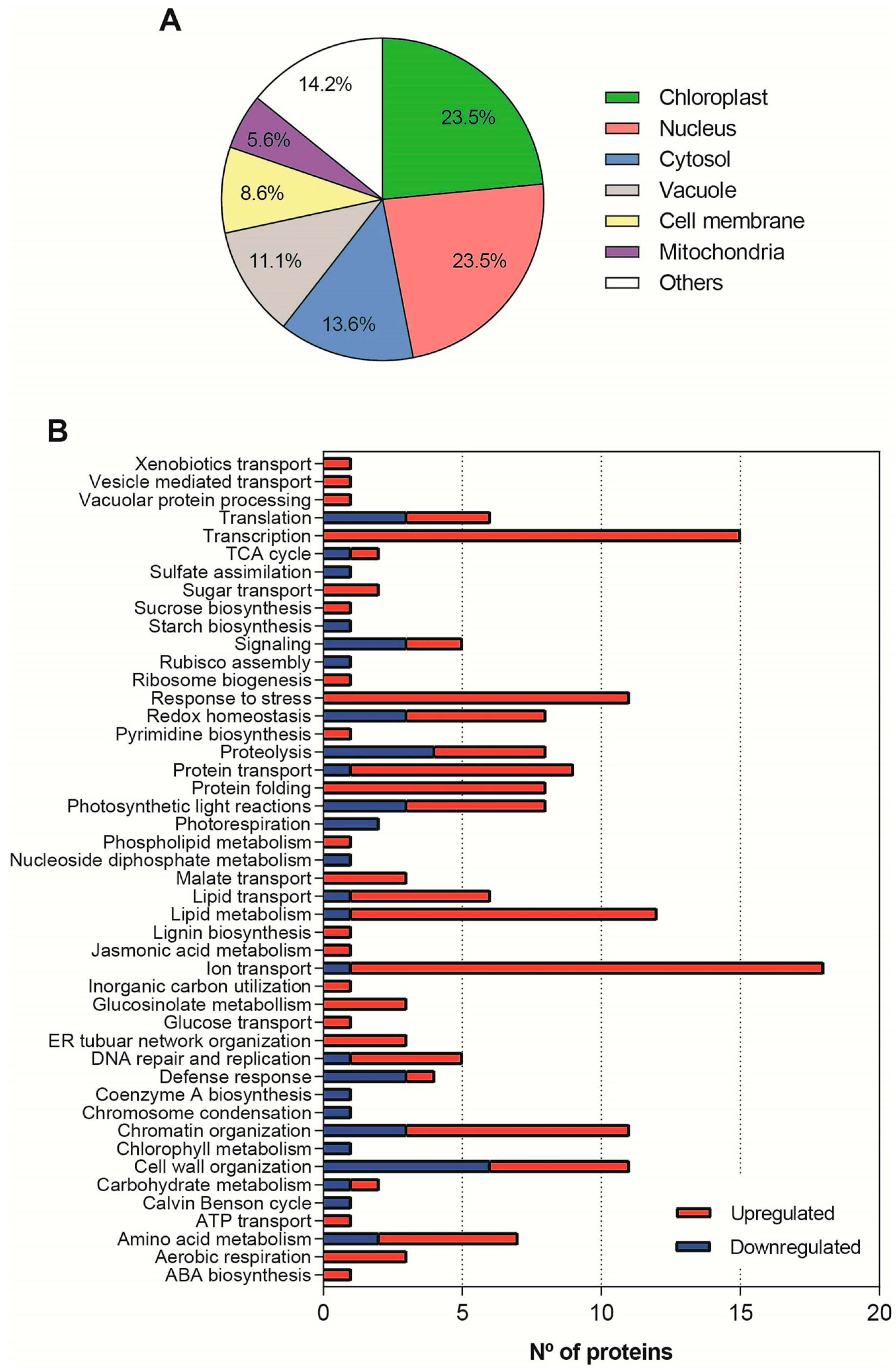 Plants 14 02937 g004 Plants 14 02937 g004