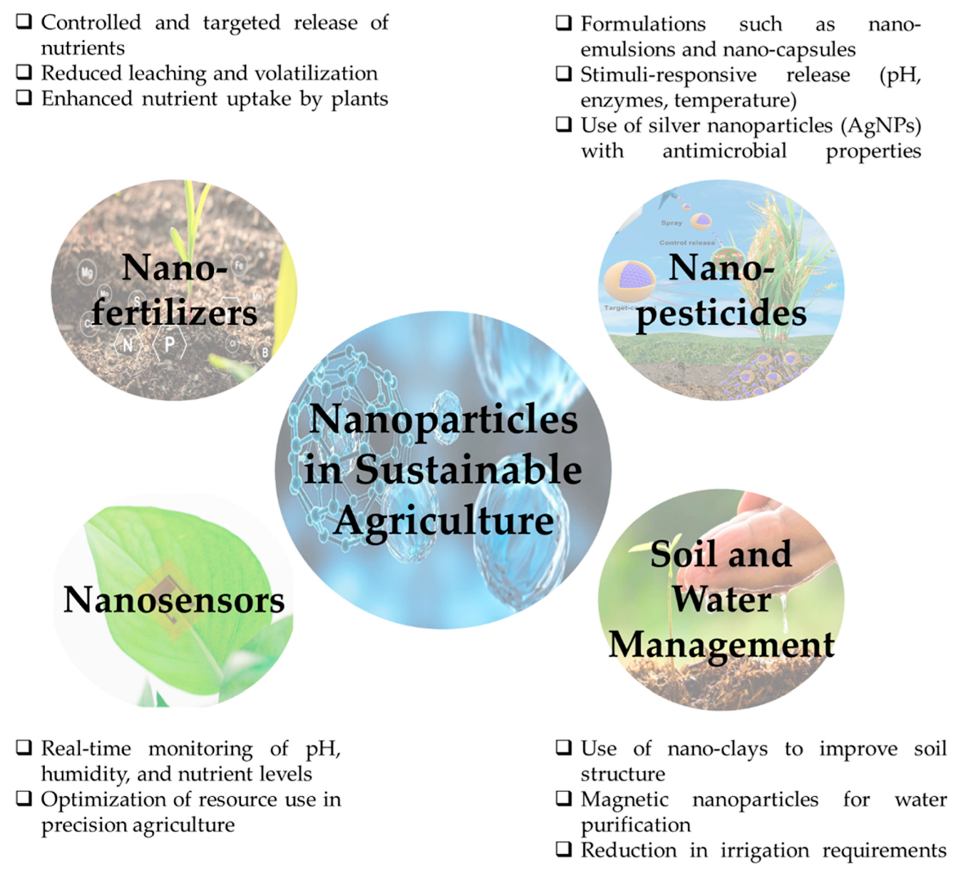 Plants 14 02939 g002