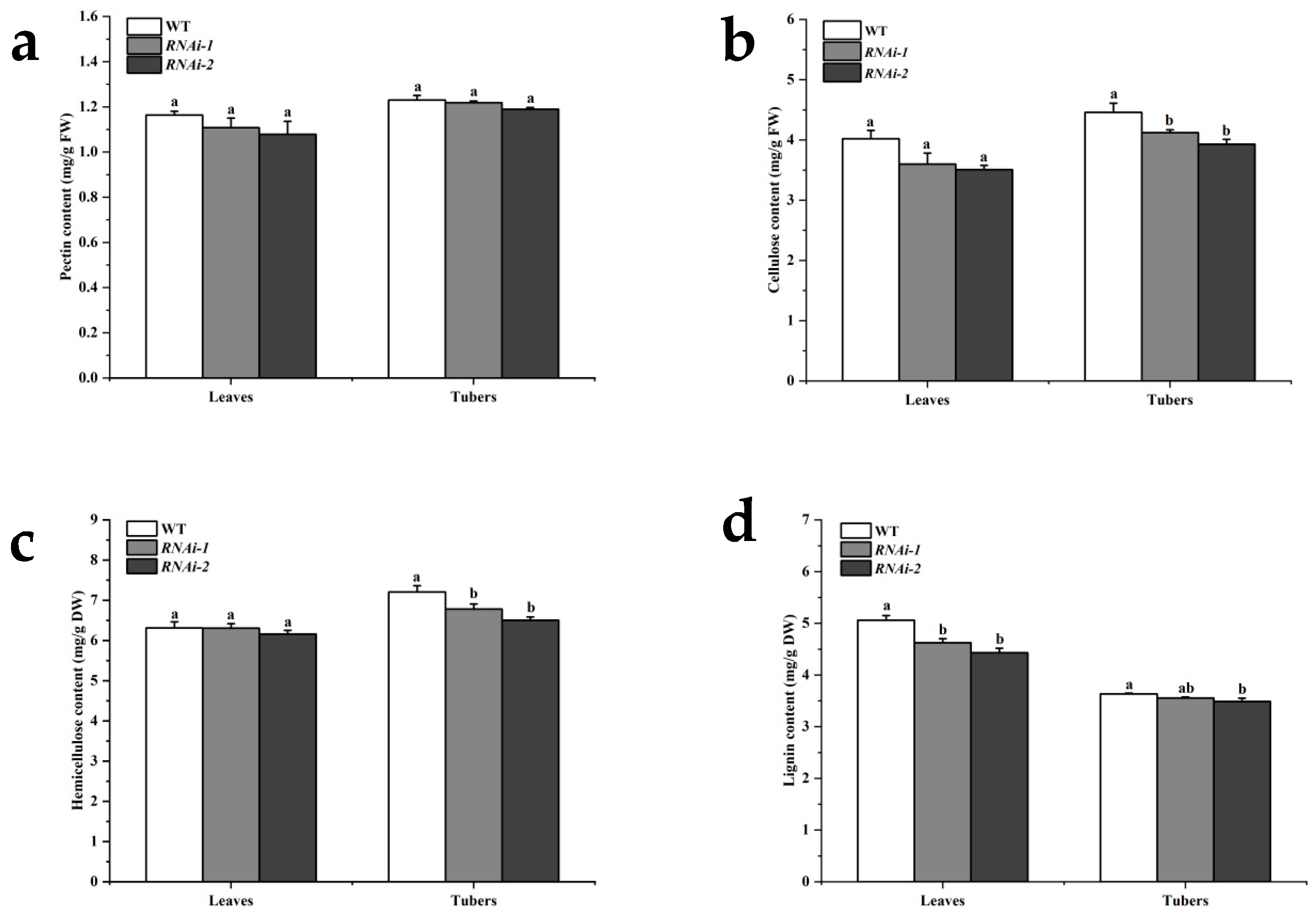Plants 14 02941 g002