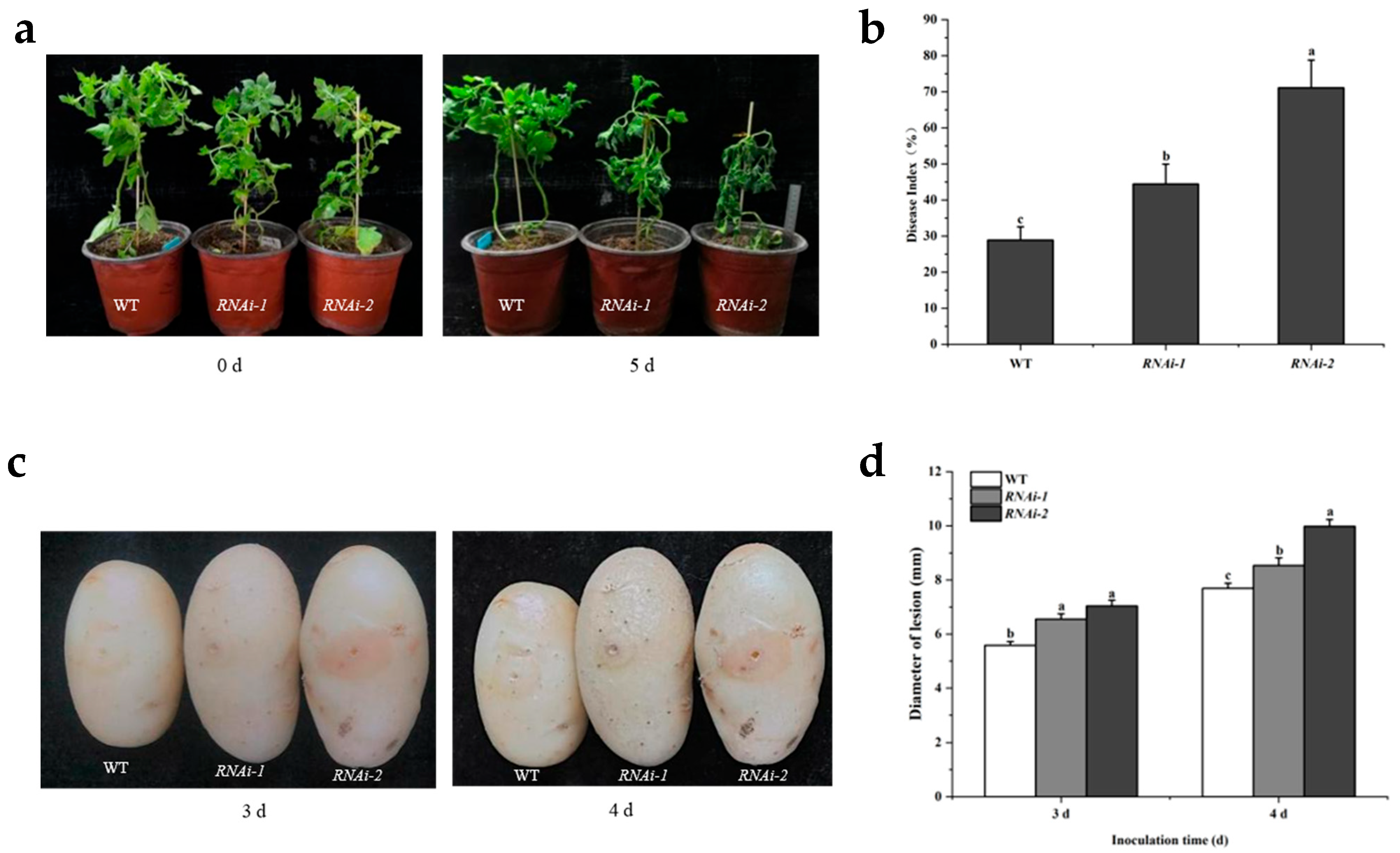 Plants 14 02941 g004
