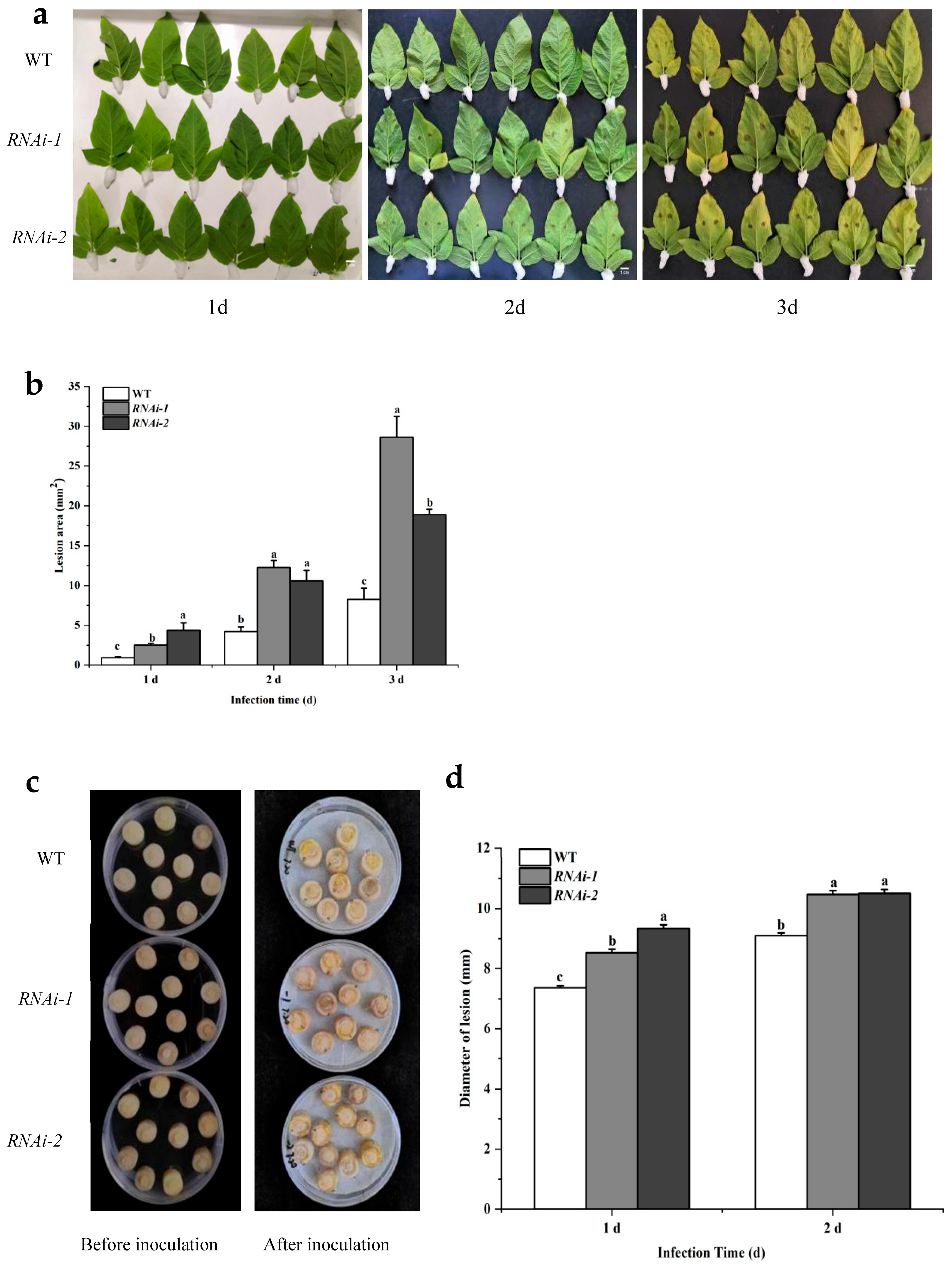 Plants 14 02941 g005