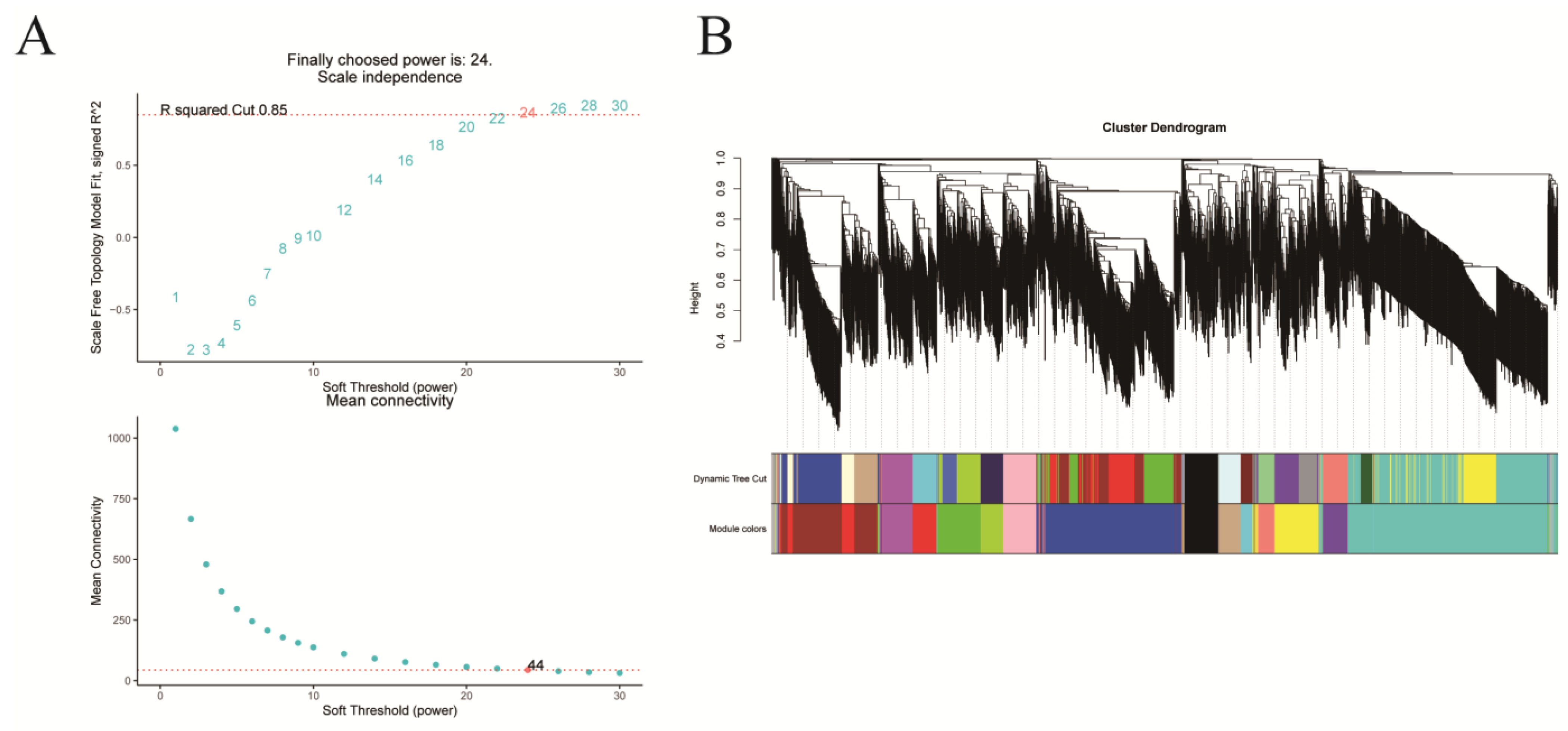 Plants 14 02945 g005a Plants 14 02945 g005a