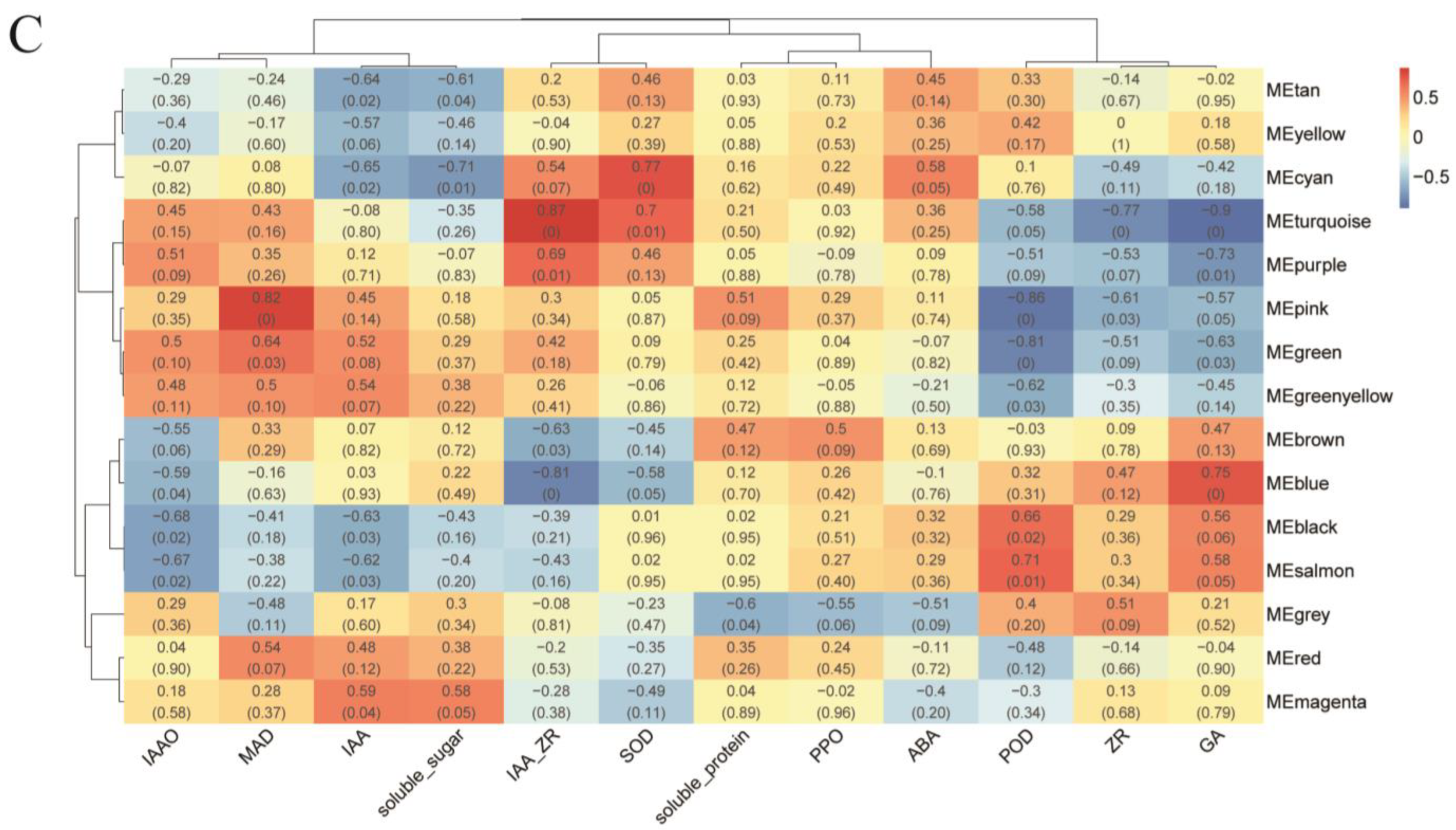 Plants 14 02945 g005b Plants 14 02945 g005b
