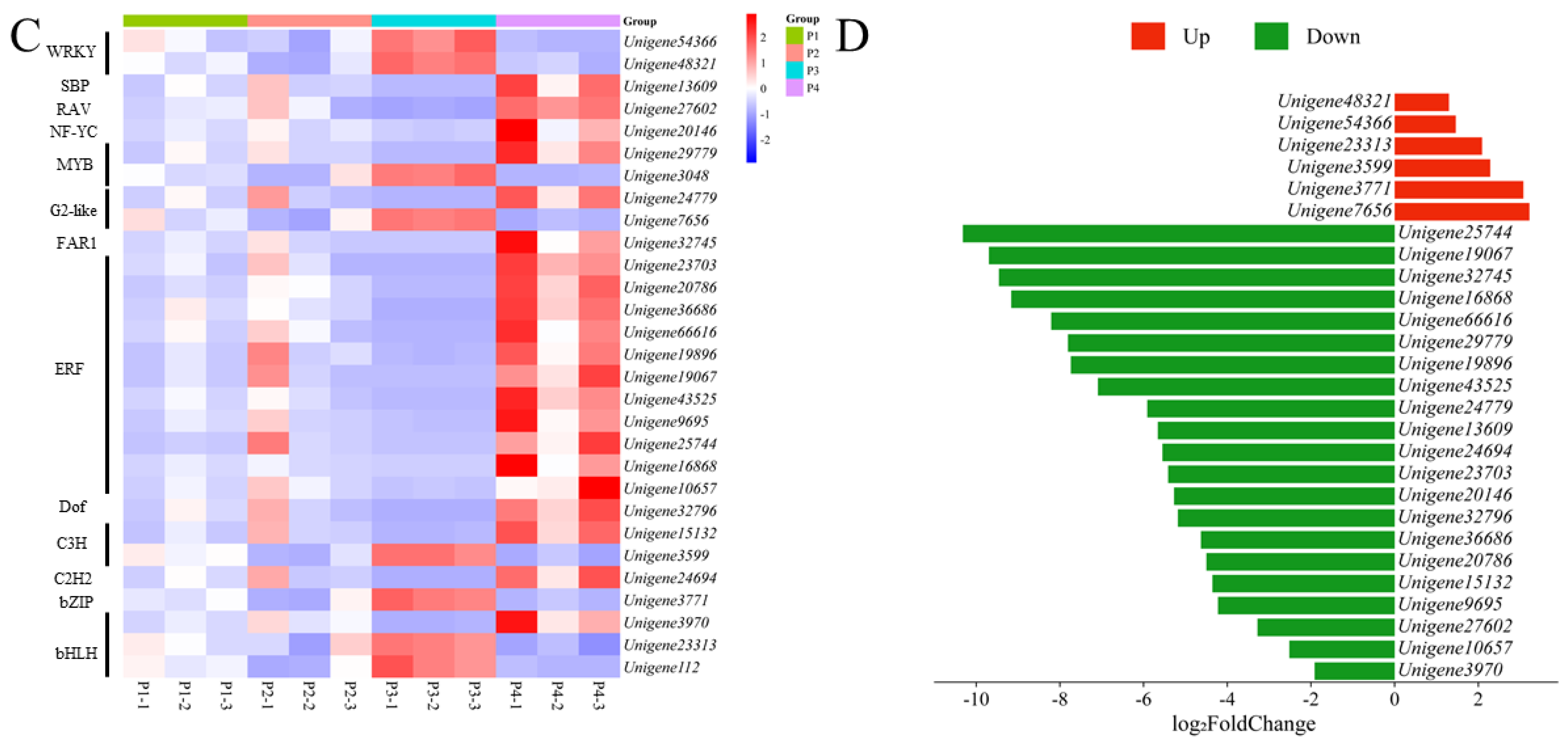 Plants 14 02945 g006b Plants 14 02945 g006b