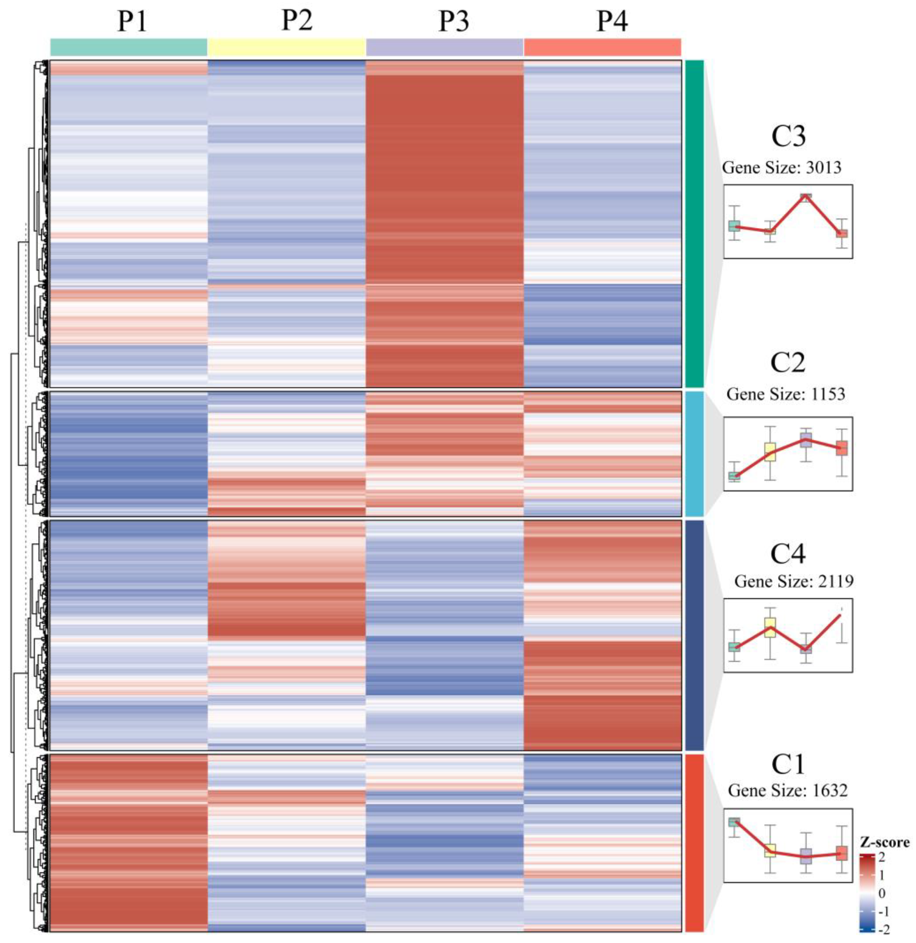 Plants 14 02945 g007 Plants 14 02945 g007