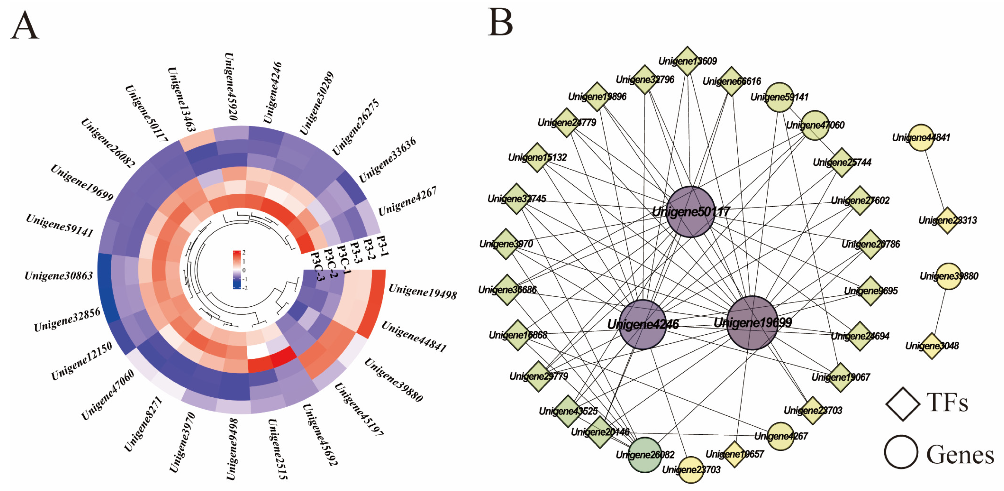 Plants 14 02945 g009 Plants 14 02945 g009