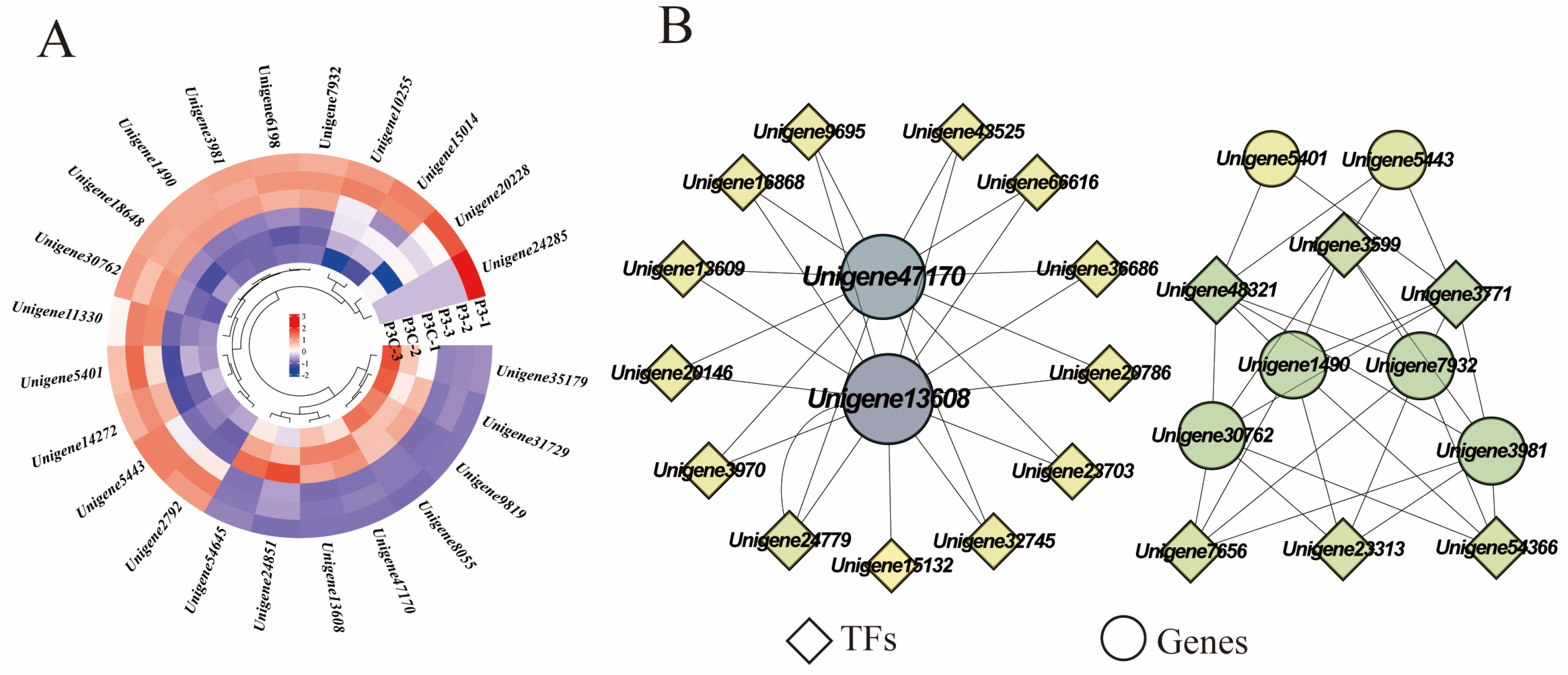 Plants 14 02945 g010 Plants 14 02945 g010