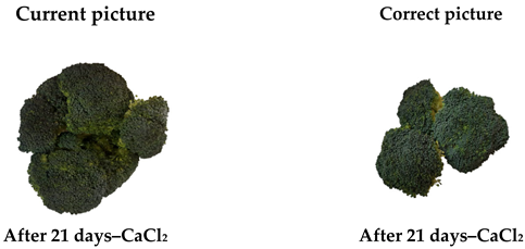 Plants 14 02946 i001 Plants 14 02946 i001