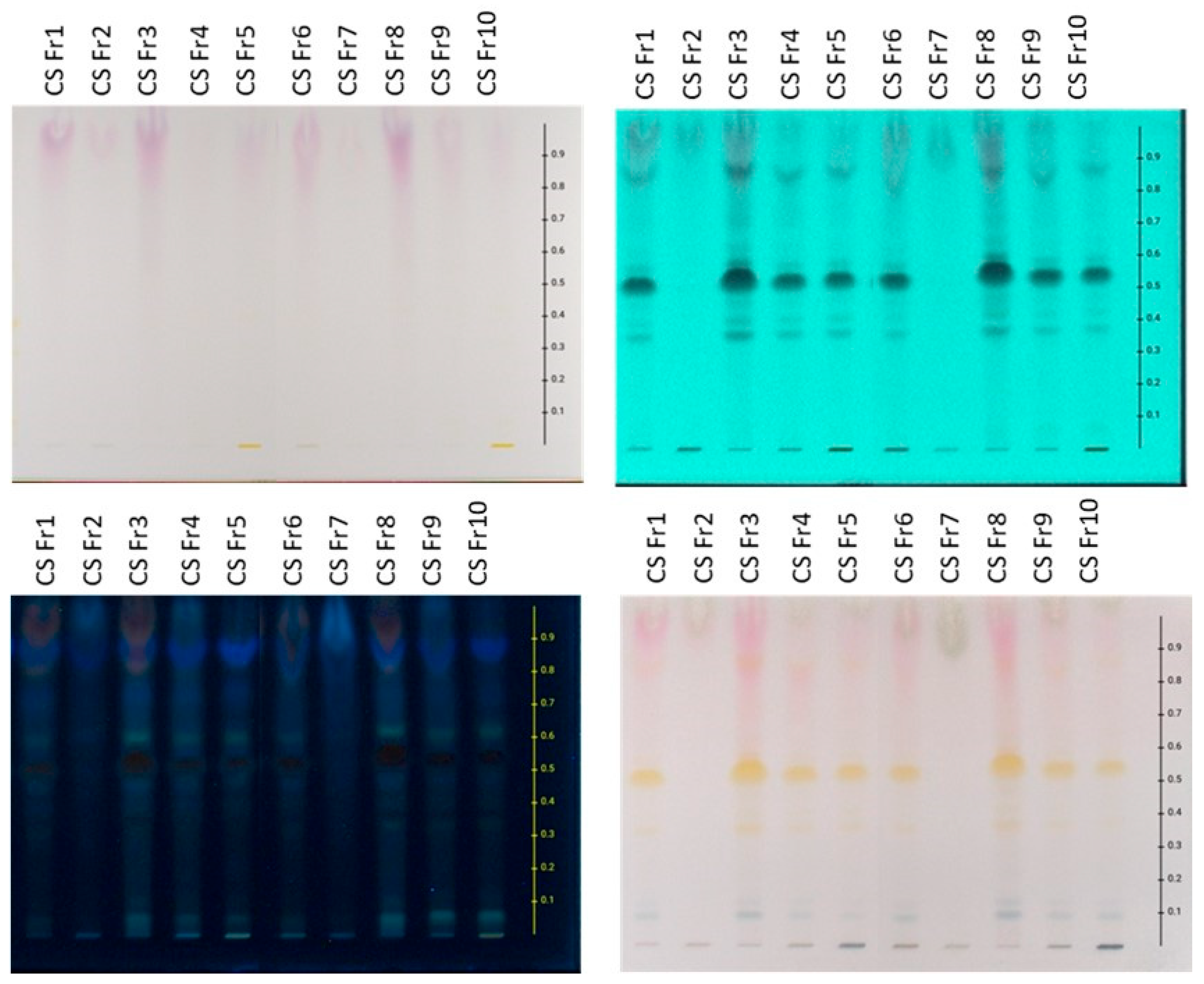 Plants 14 02949 g001