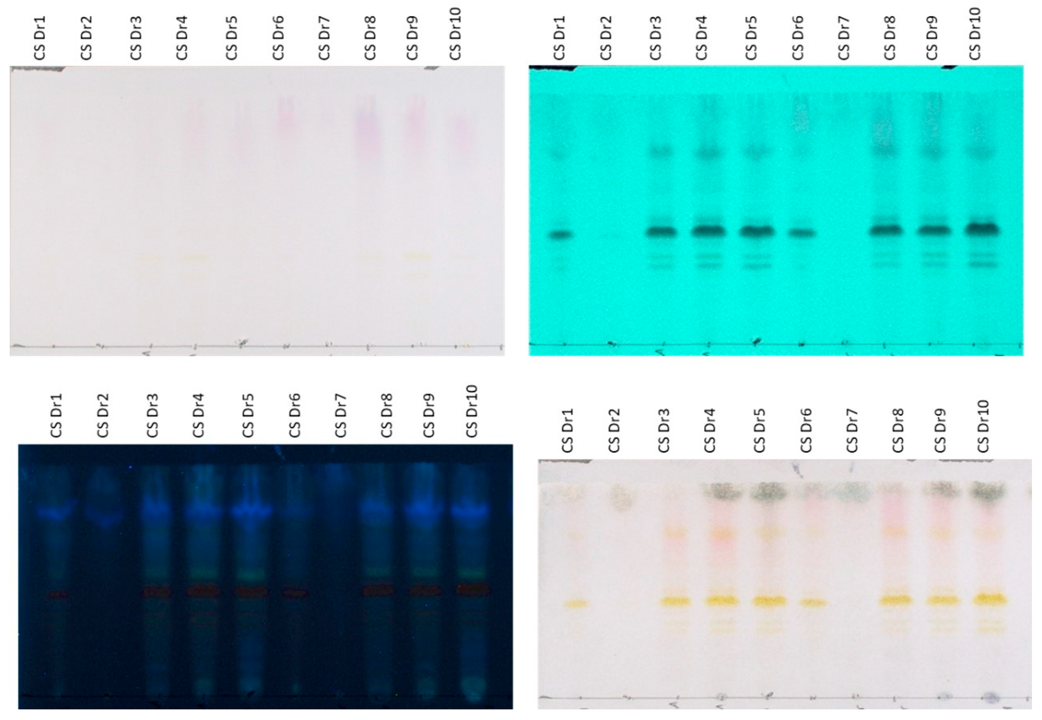 Plants 14 02949 g002