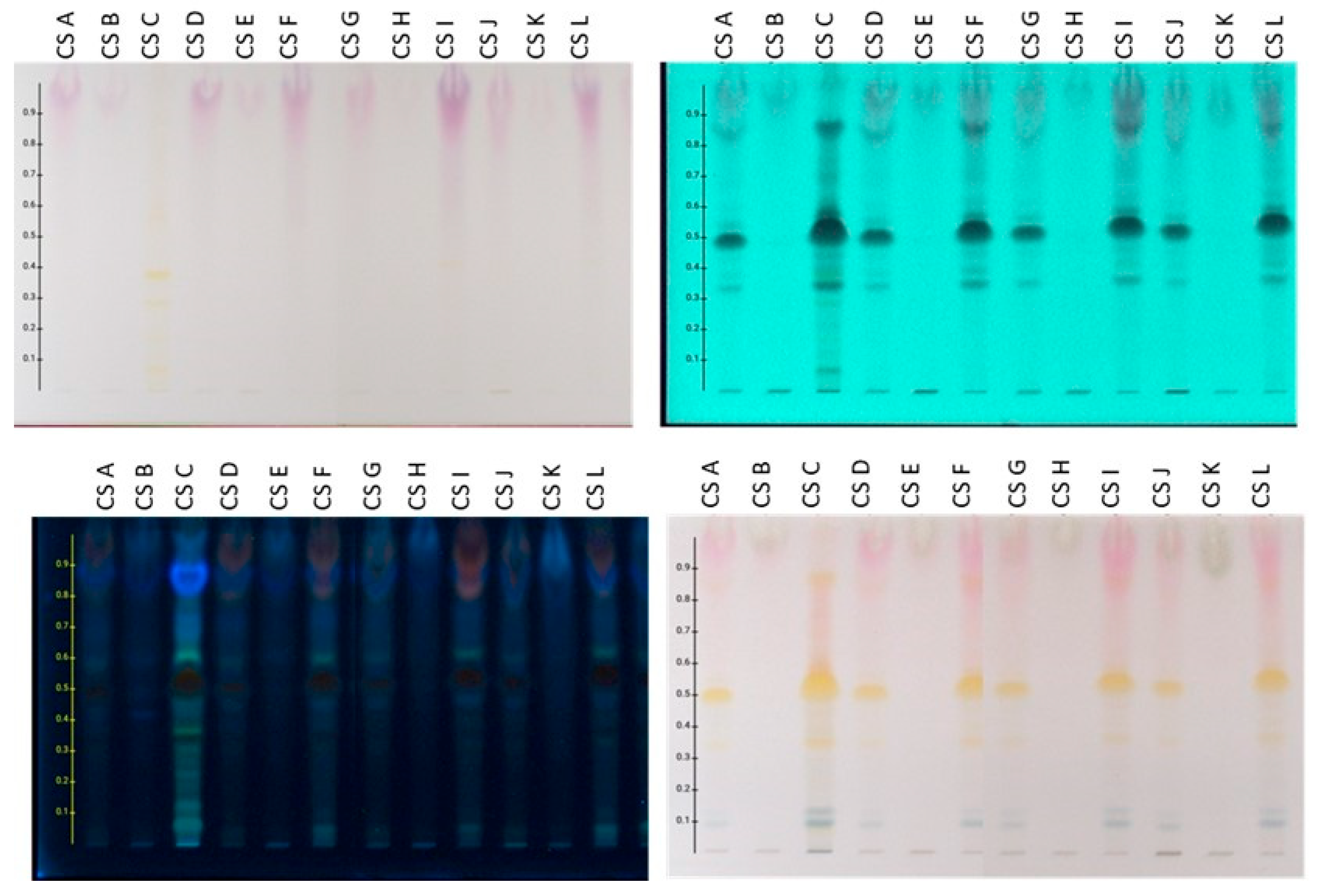 Plants 14 02949 g003