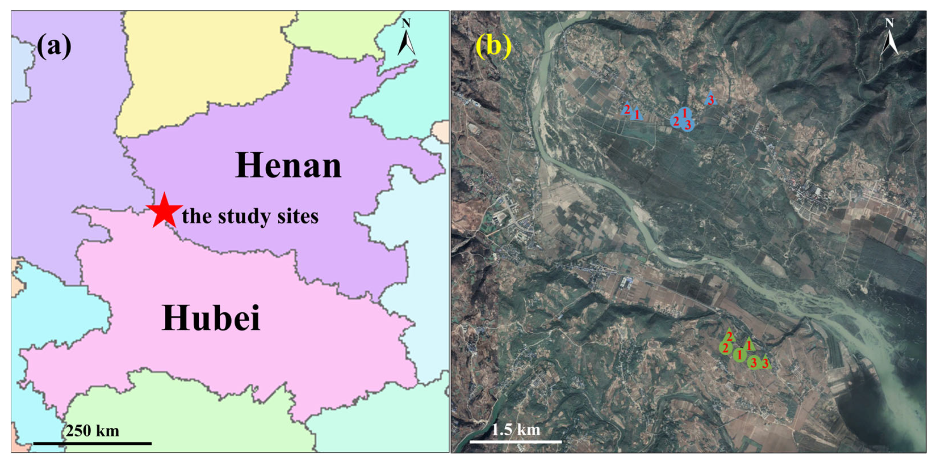 Plants 14 02957 g005 Plants 14 02957 g005