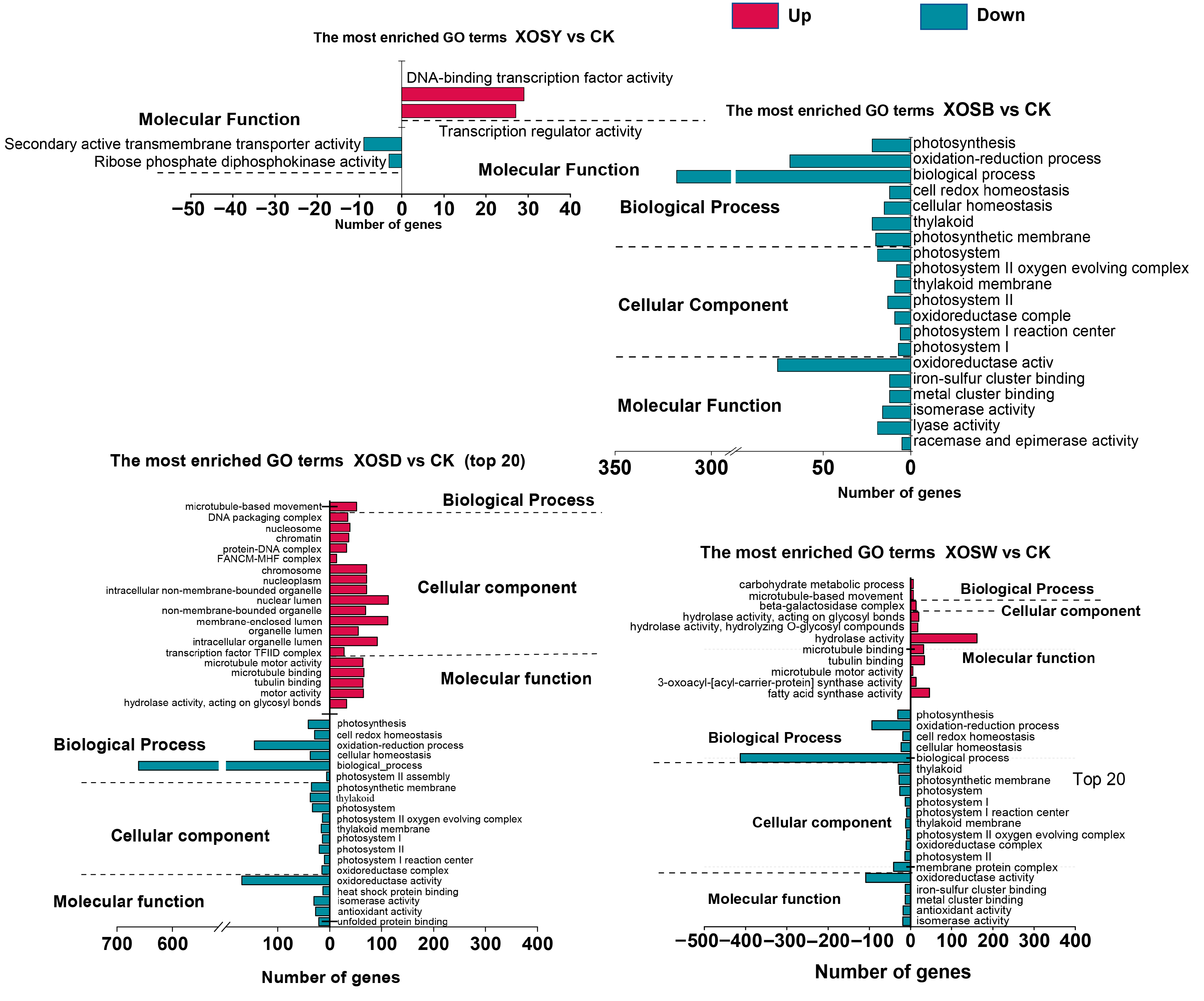Plants 14 02958 g003