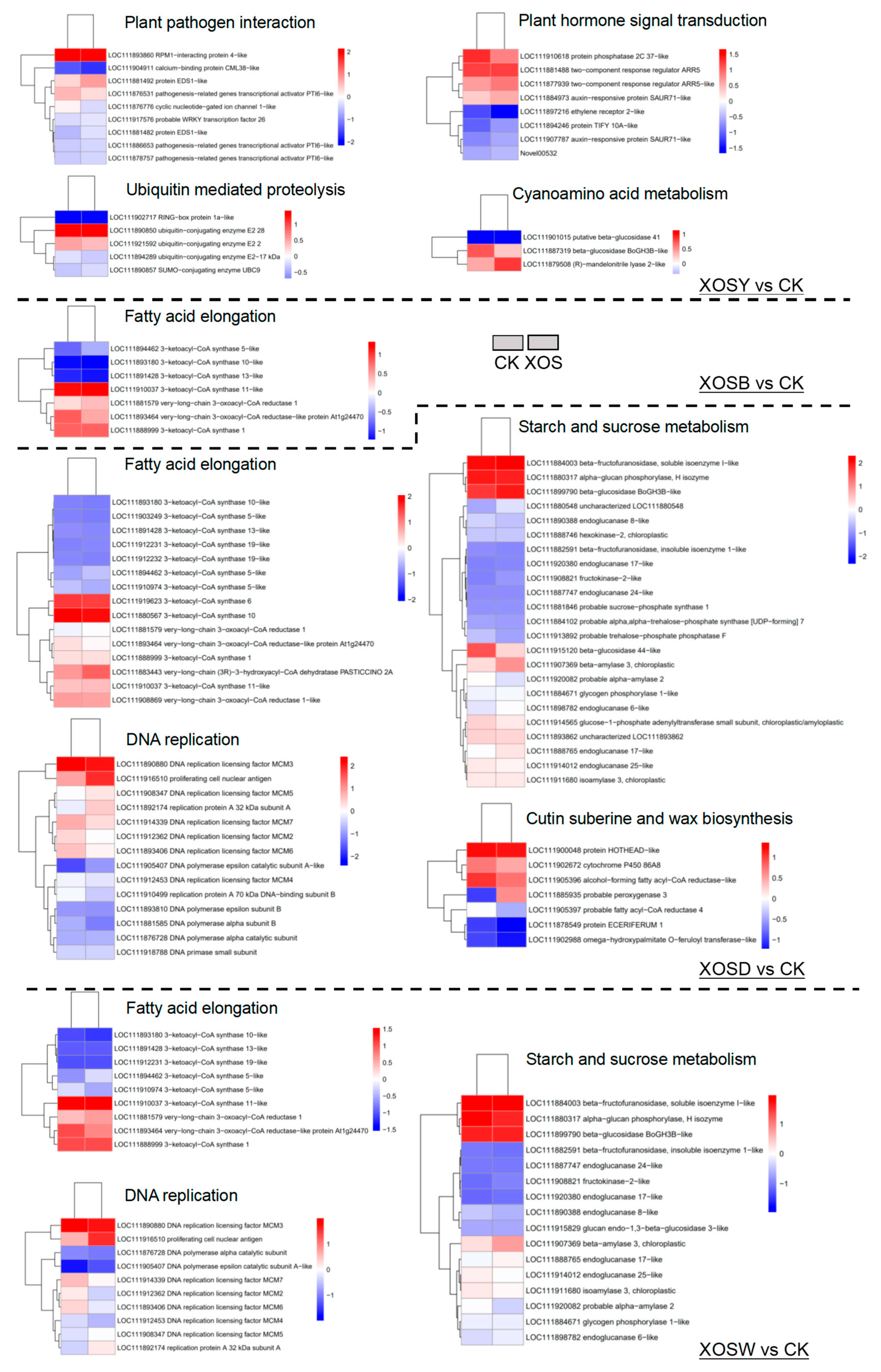 Plants 14 02958 g004