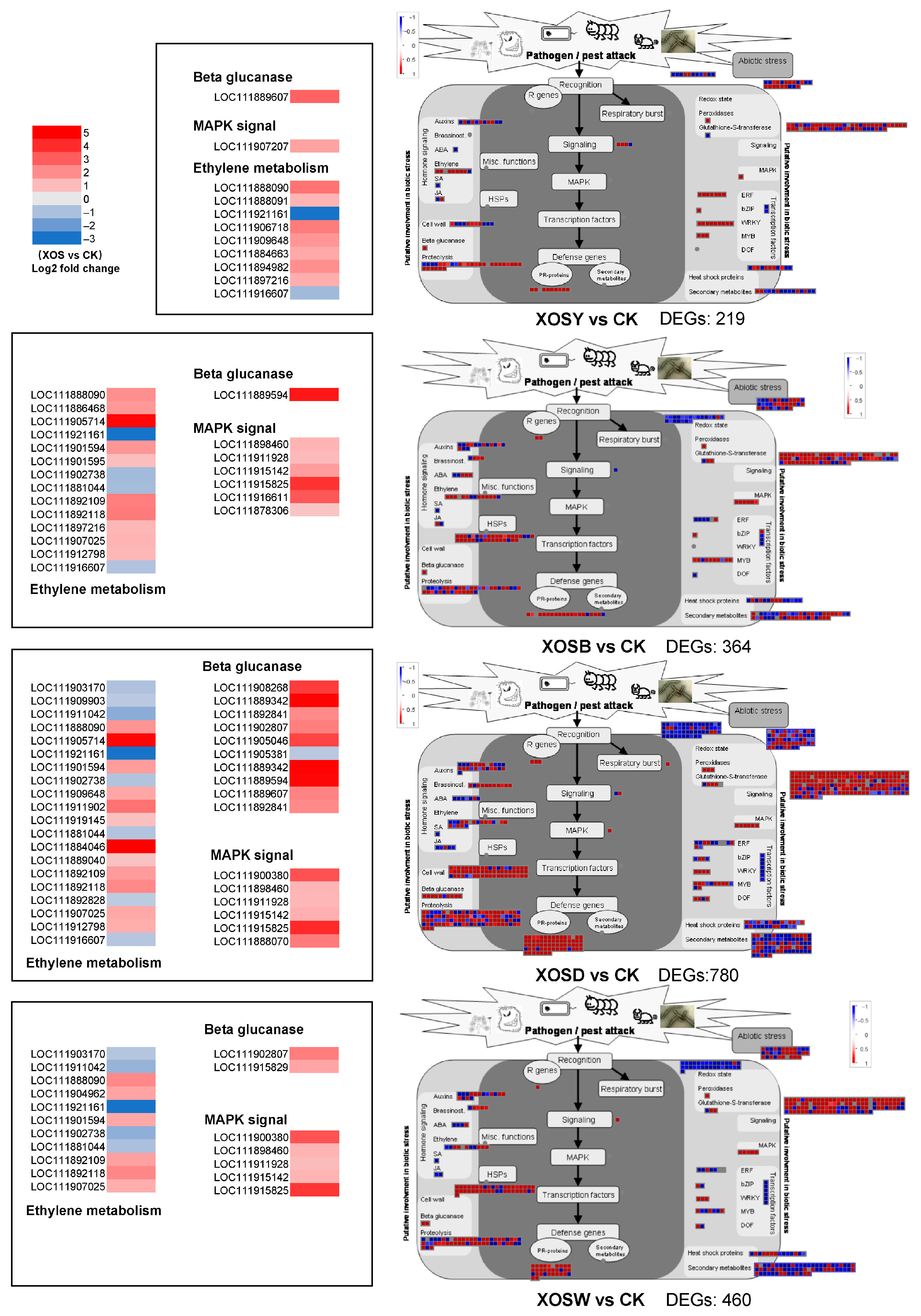 Plants 14 02958 g005