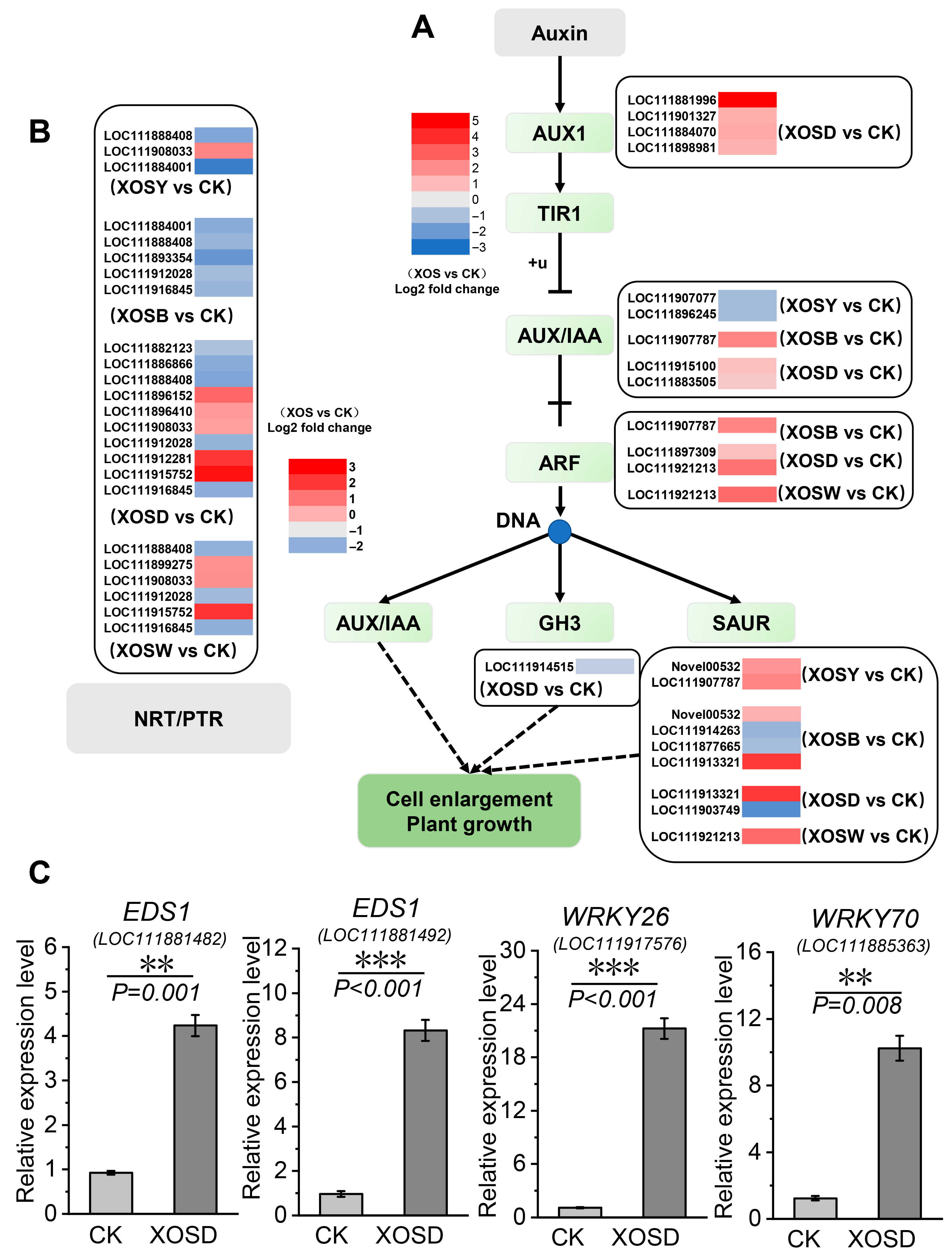 Plants 14 02958 g006