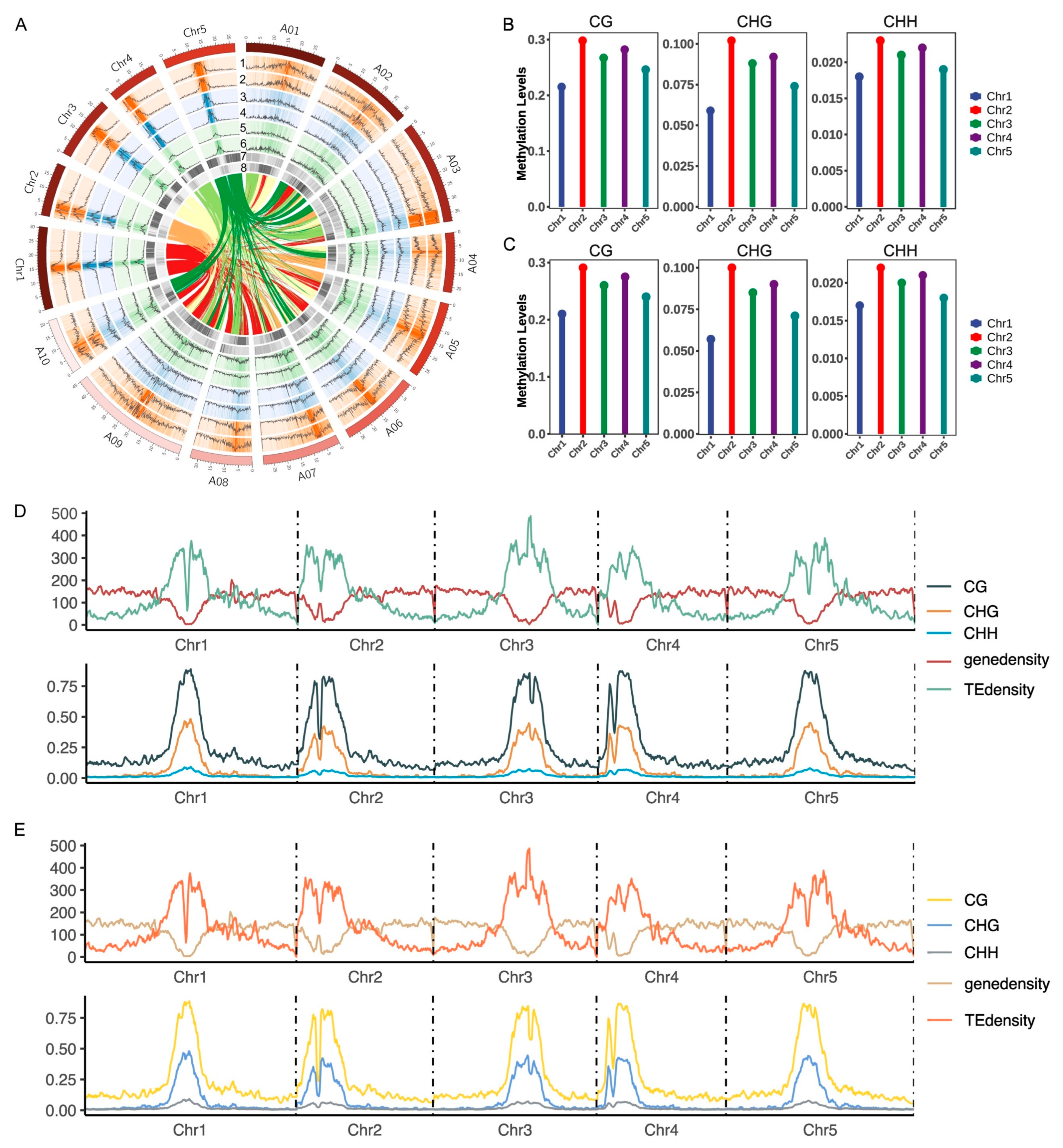 Plants 14 02959 g001