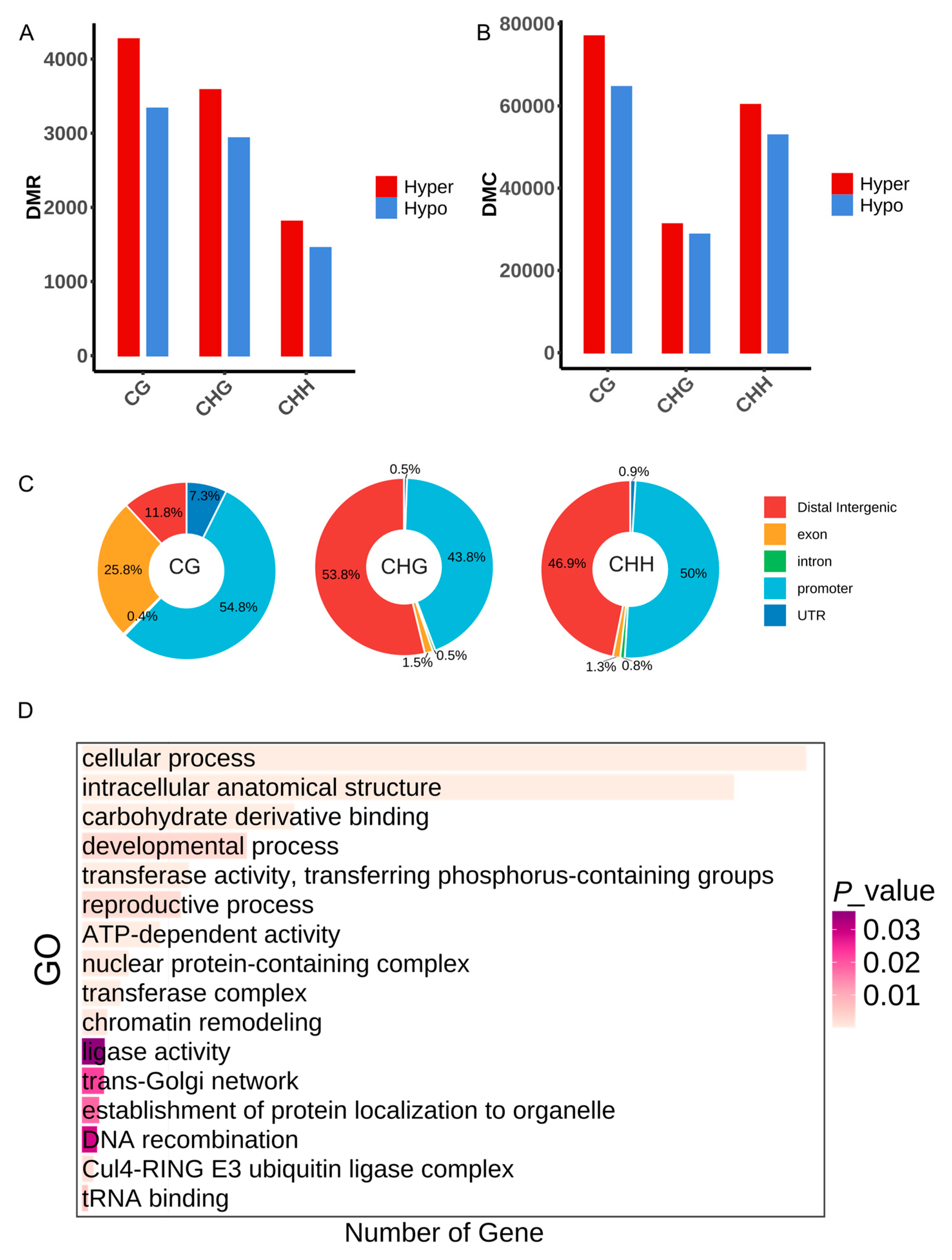 Plants 14 02959 g004