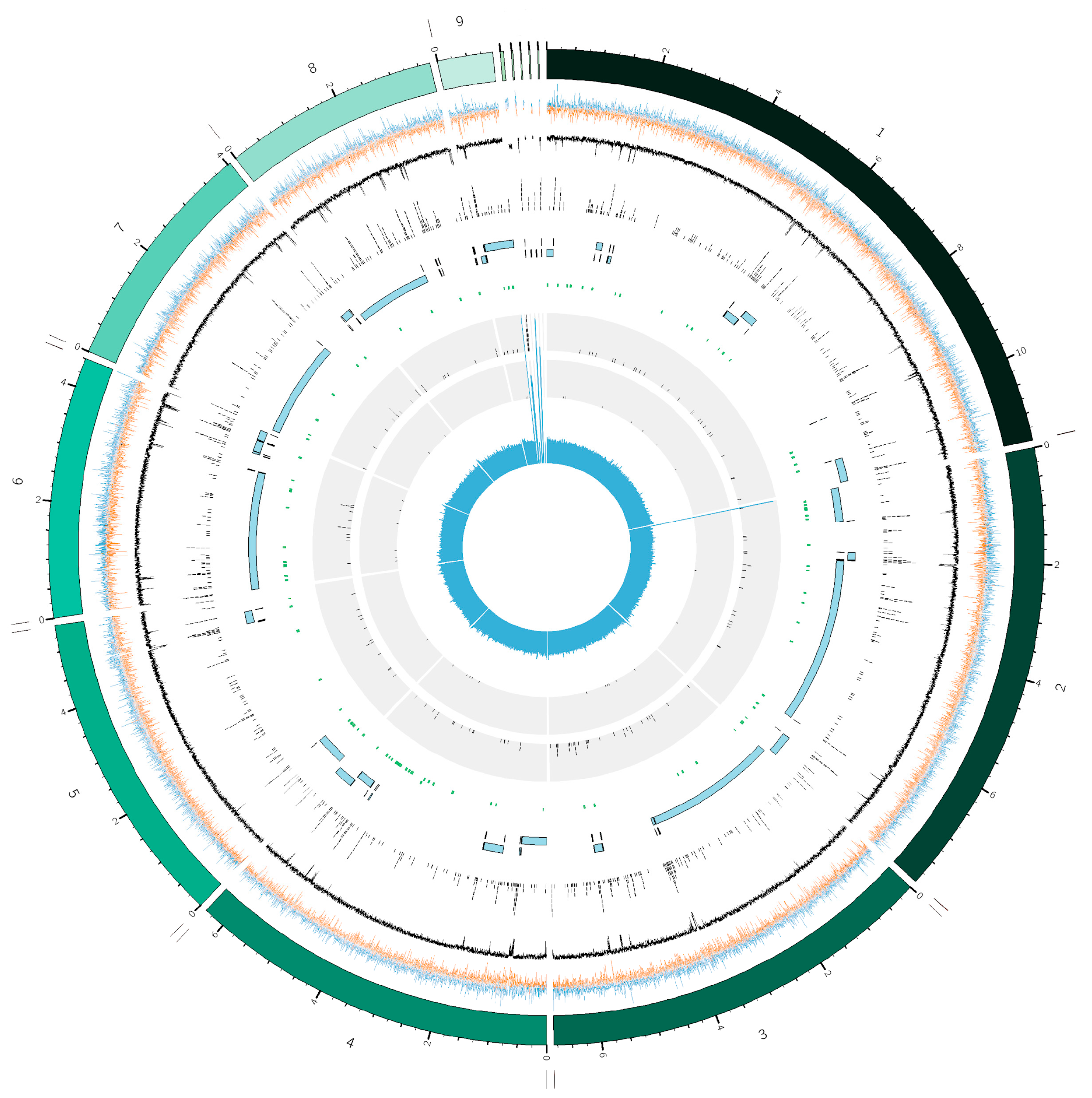 Plants 14 02960 g001 Plants 14 02960 g001