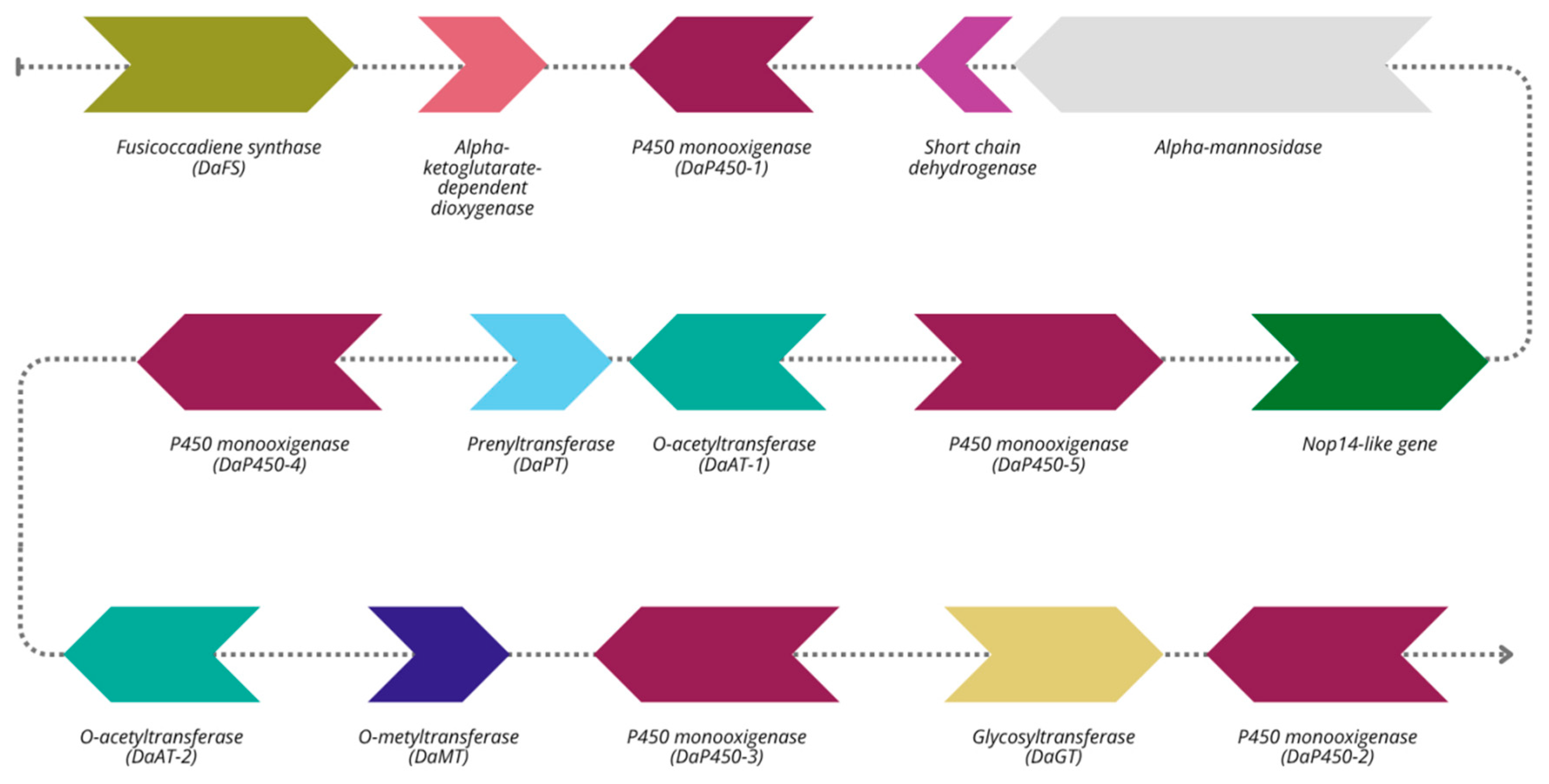 Plants 14 02960 g006 Plants 14 02960 g006