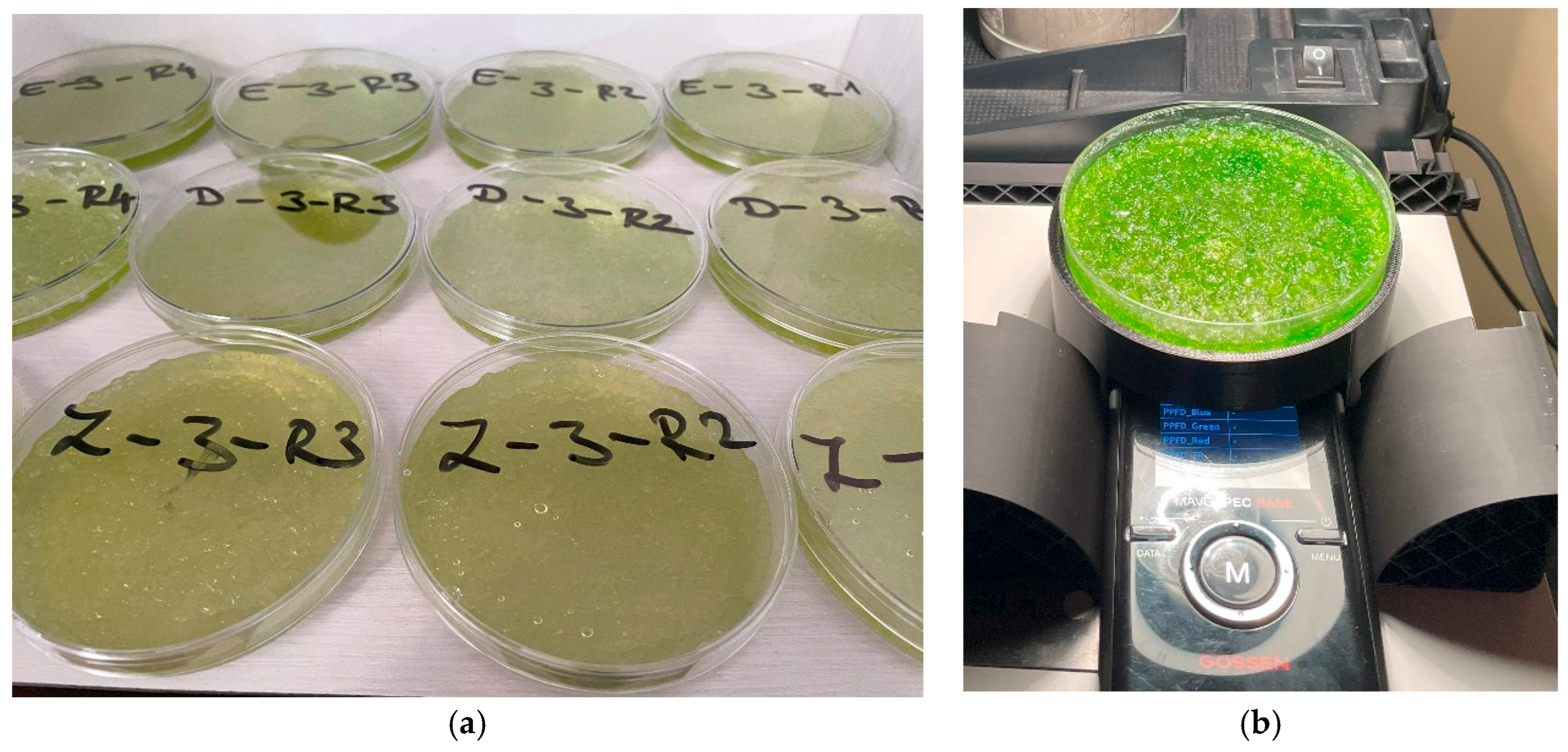 Plants 14 02962 g015