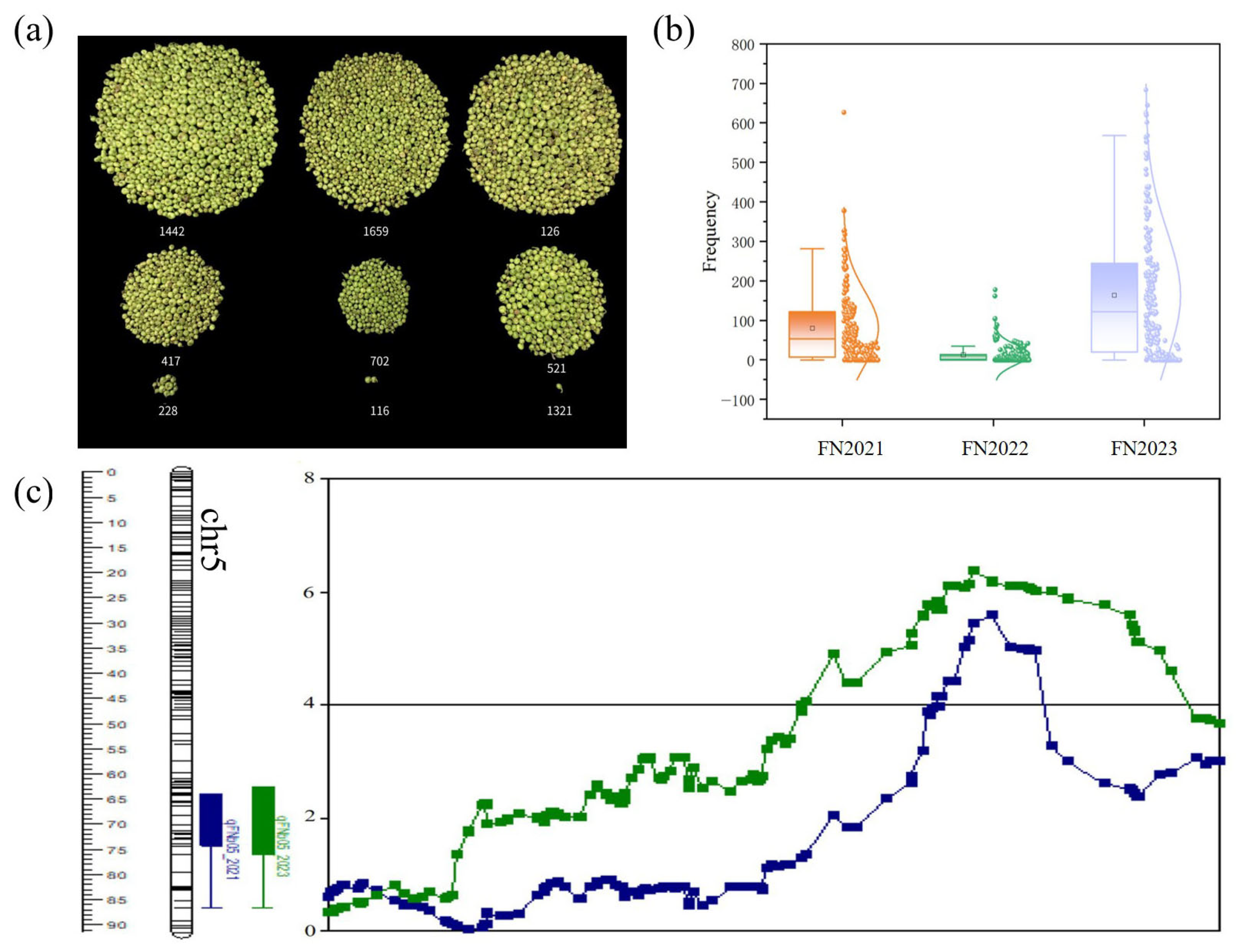 Plants 14 02963 g001