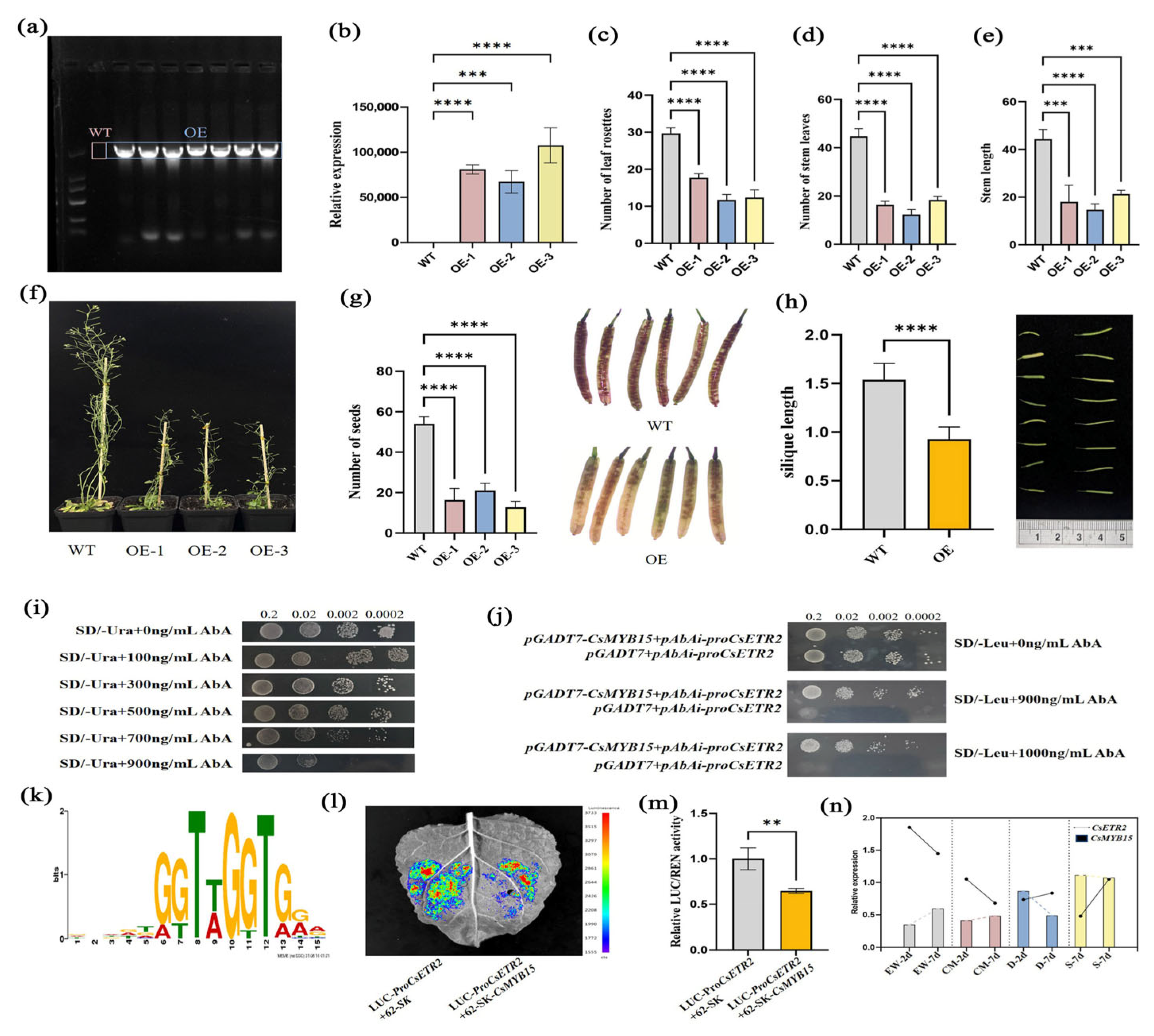 Plants 14 02963 g006