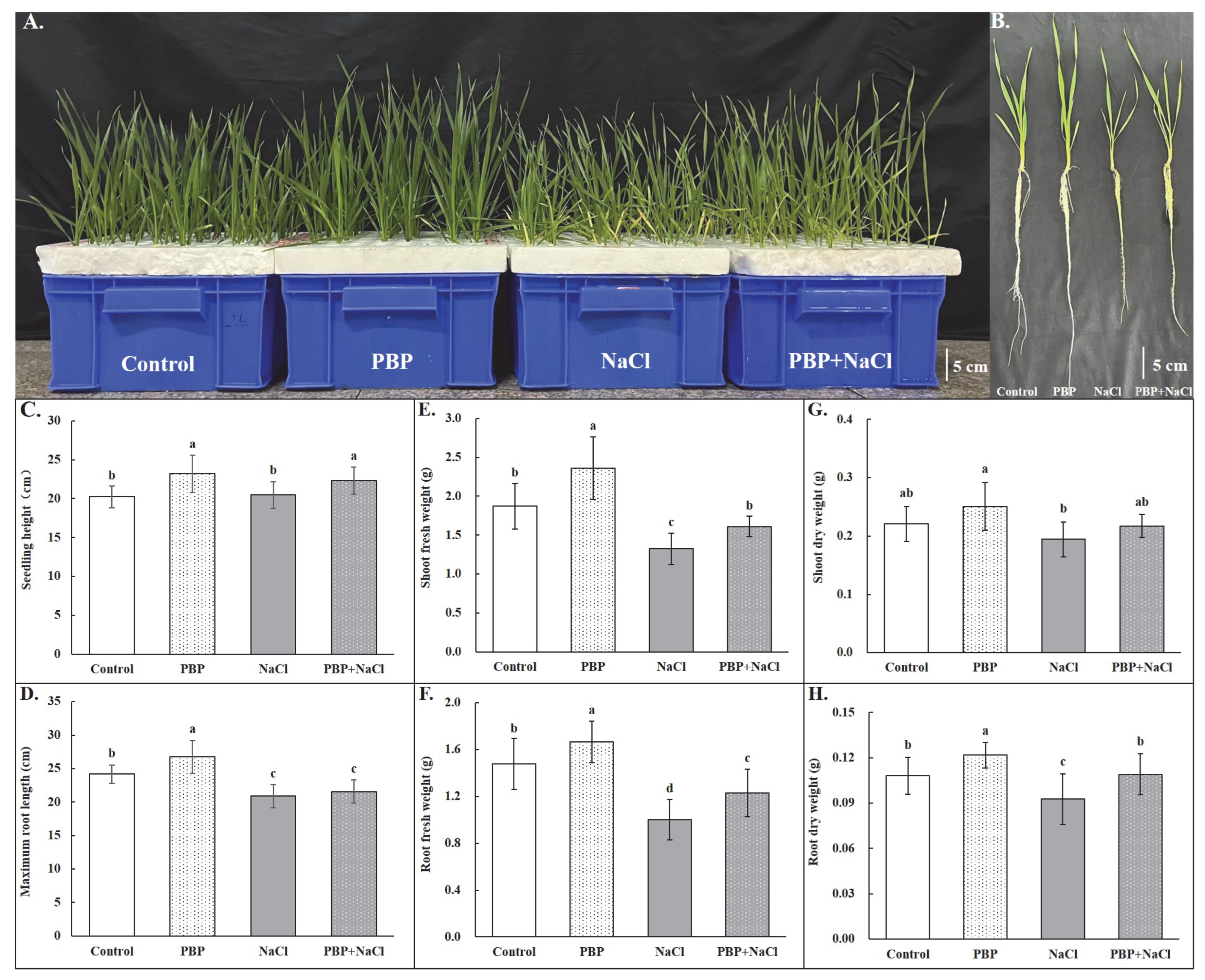 Plants 14 02968 g001 Plants 14 02968 g001