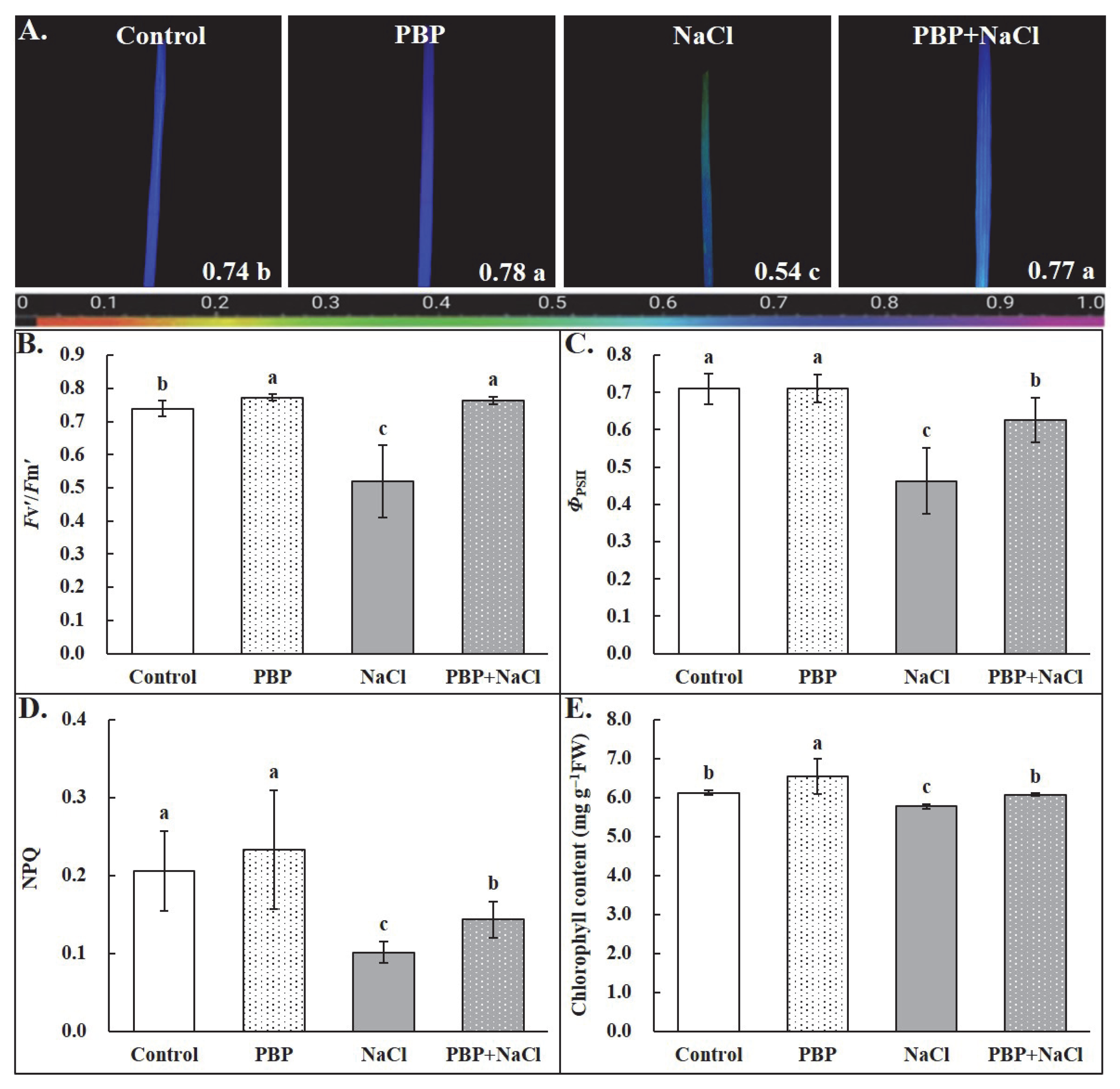 Plants 14 02968 g004 Plants 14 02968 g004