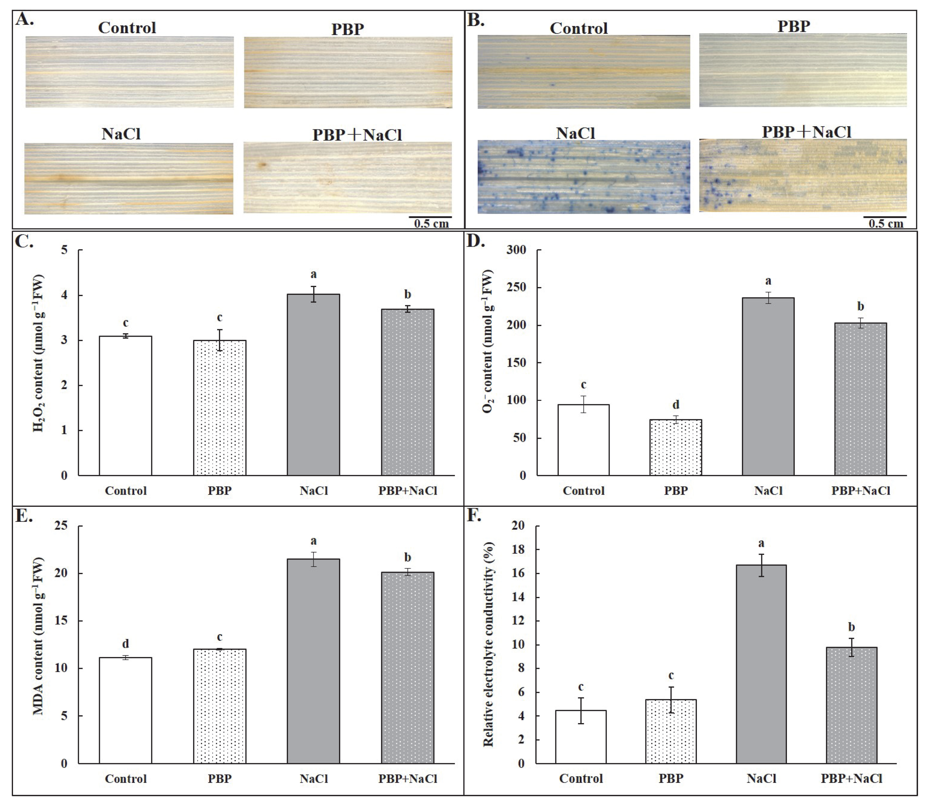 Plants 14 02968 g005 Plants 14 02968 g005