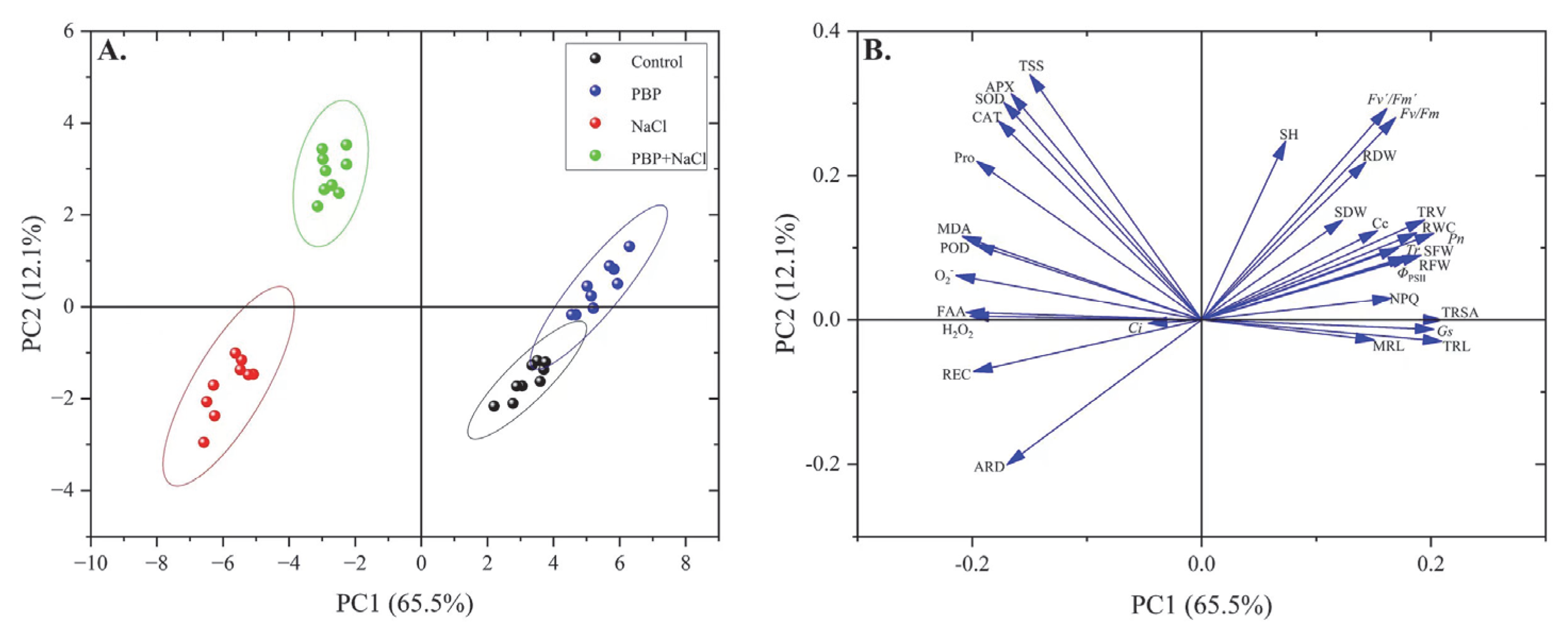 Plants 14 02968 g008 Plants 14 02968 g008