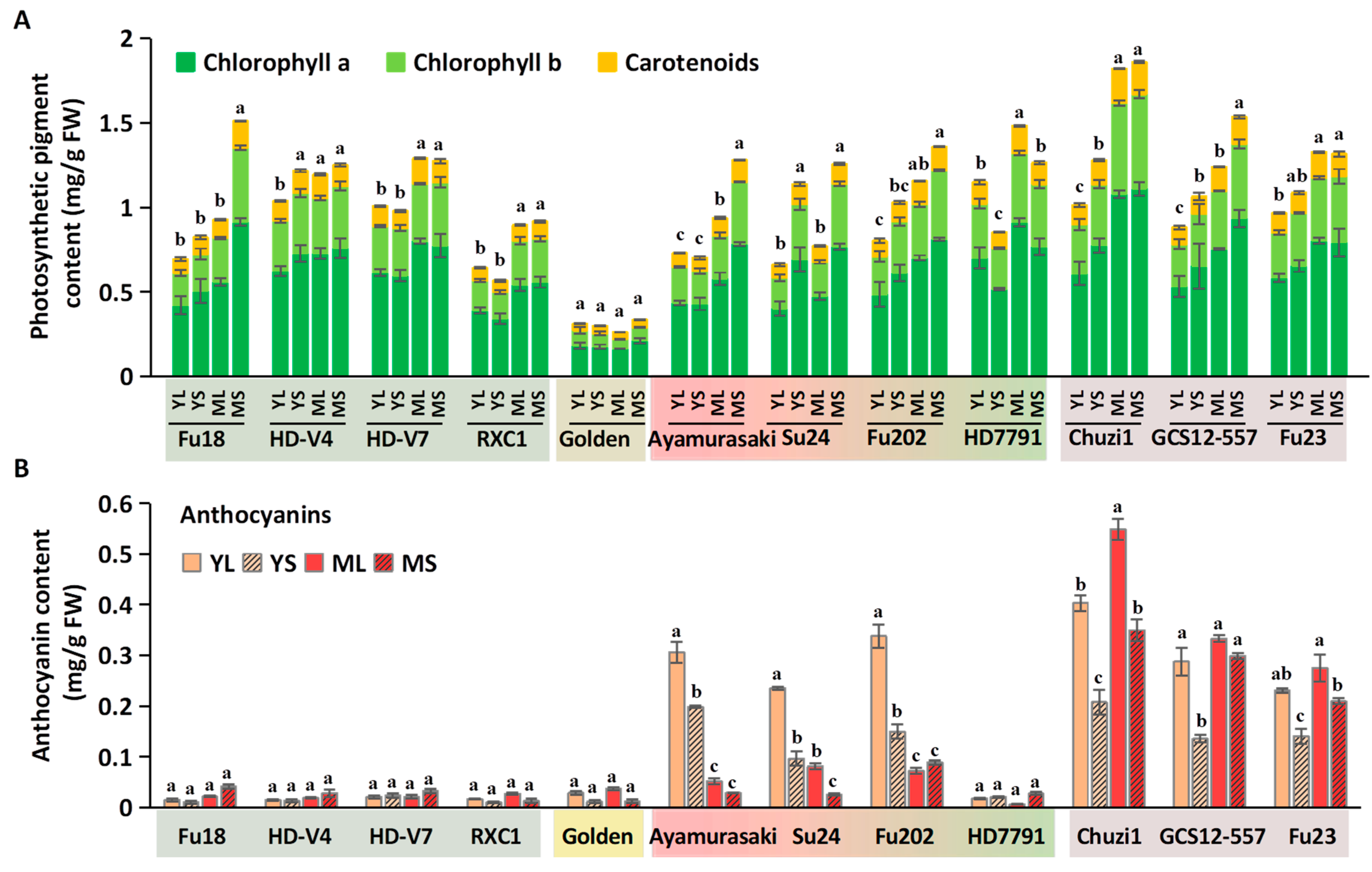 Plants 14 02969 g002 Plants 14 02969 g002