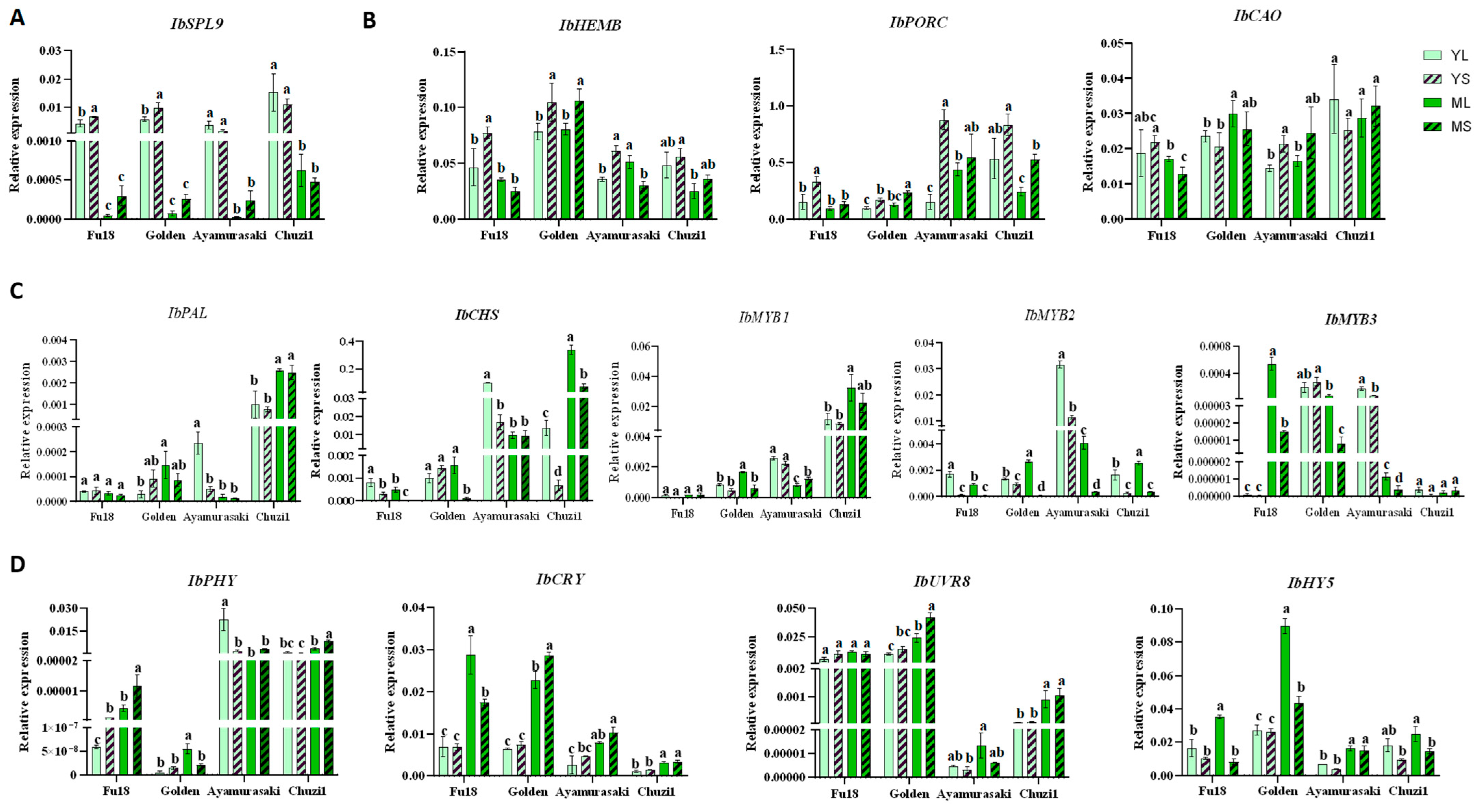 Plants 14 02969 g006 Plants 14 02969 g006