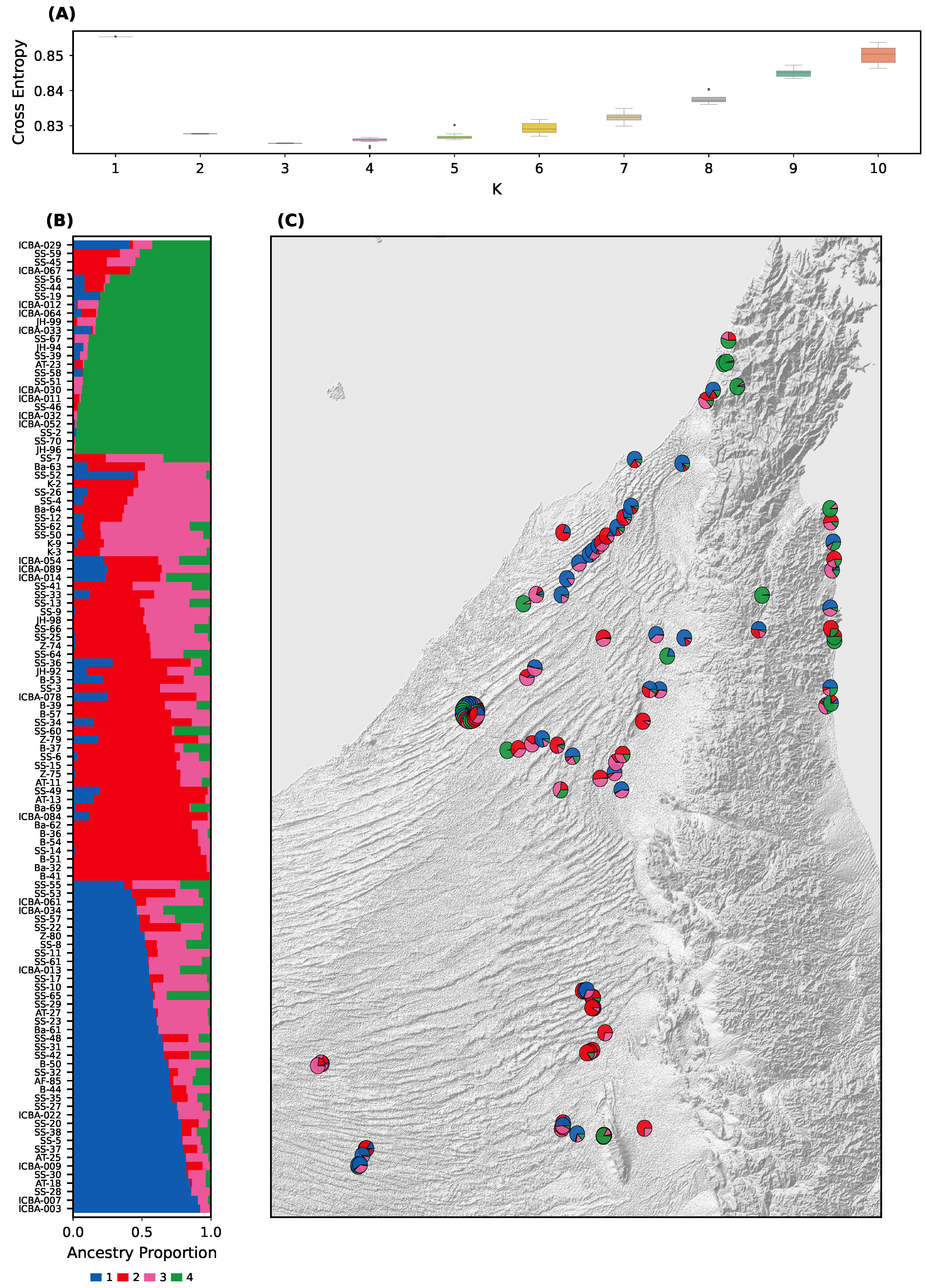 Plants 14 02970 g002