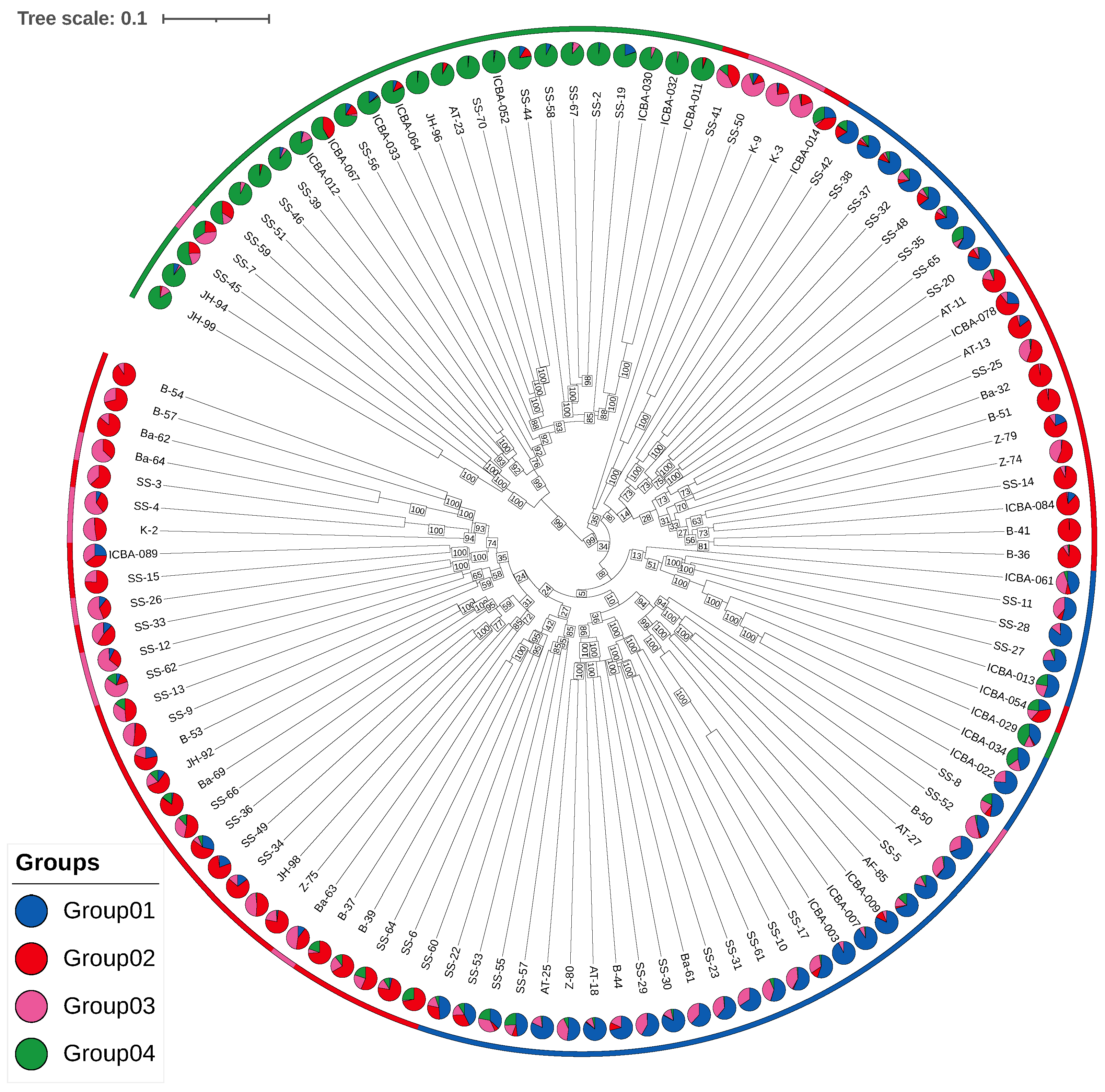 Plants 14 02970 g008