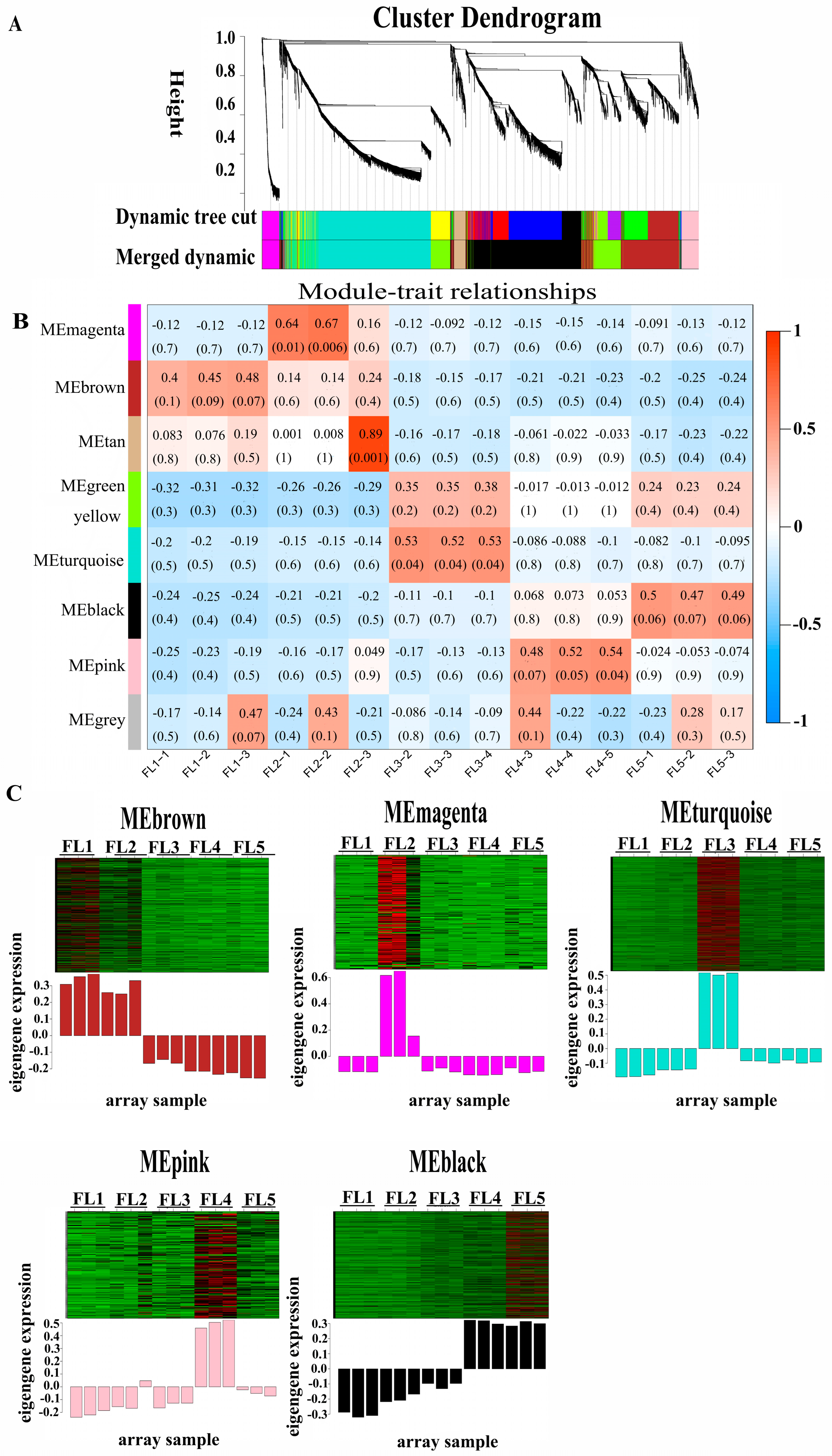 Plants 14 02973 g001 Plants 14 02973 g001