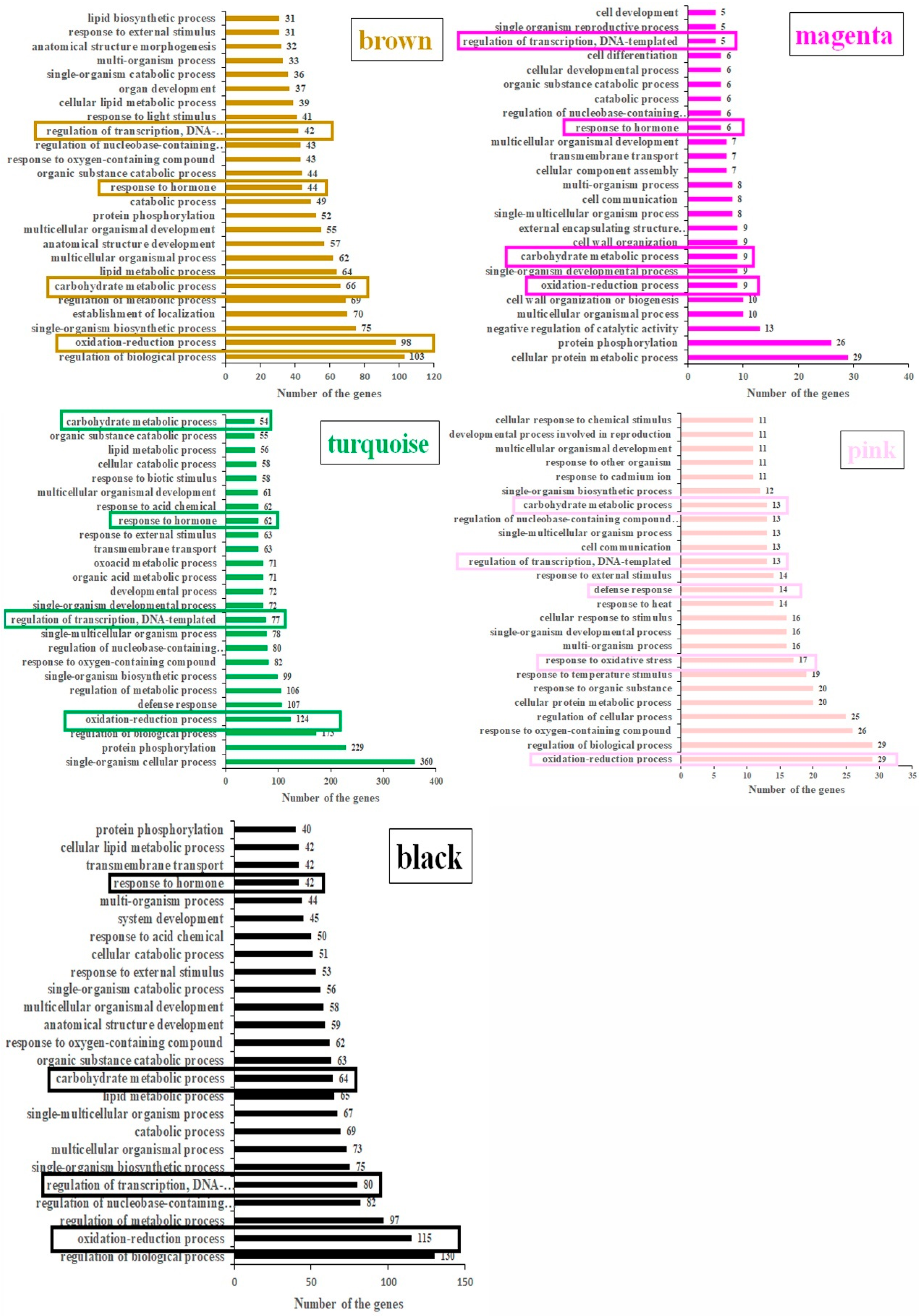 Plants 14 02973 g002 Plants 14 02973 g002