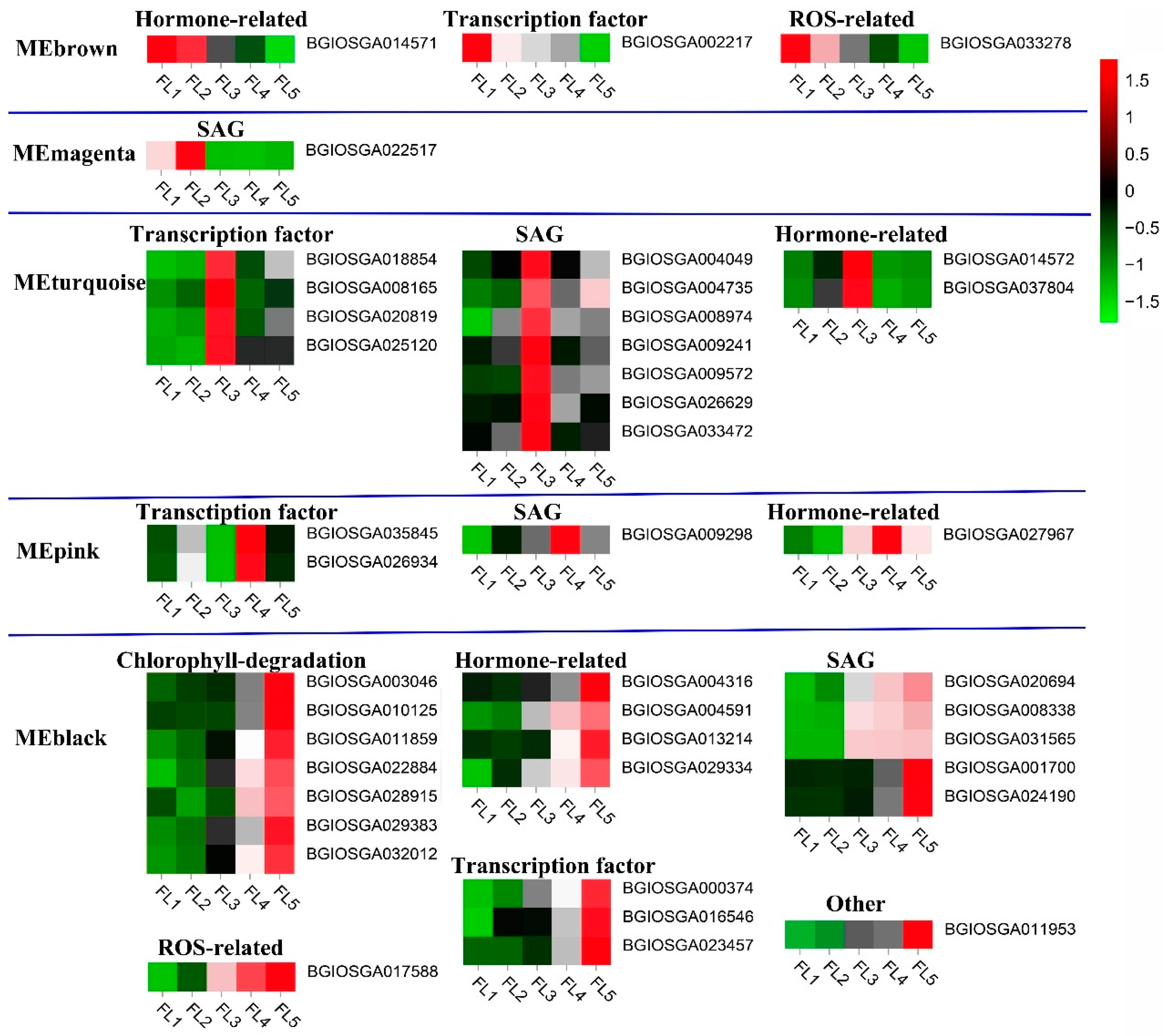 Plants 14 02973 g003 Plants 14 02973 g003
